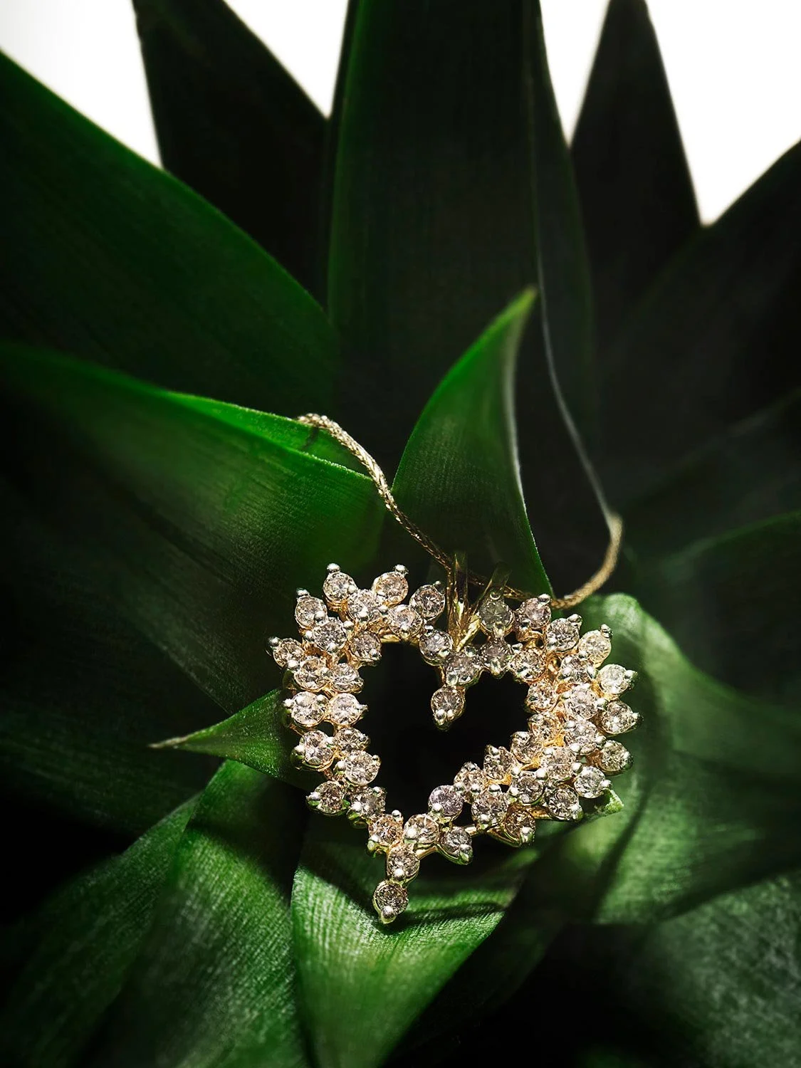 diamond-details-leaf-background-studio.jpg
