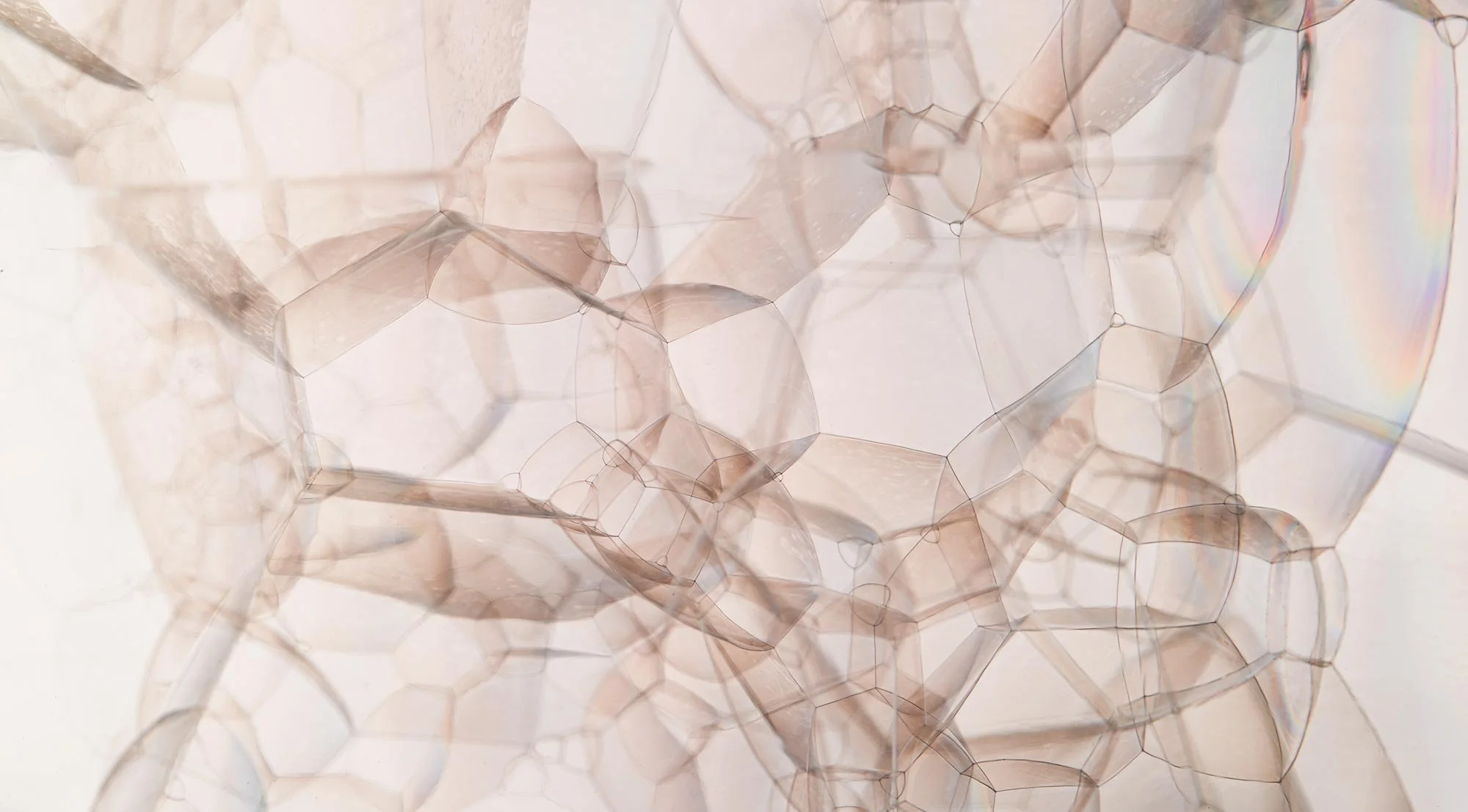 Close-up of light-colored soap bubbles with iridescent reflections, overlapping and forming a delicate, airy cluster.