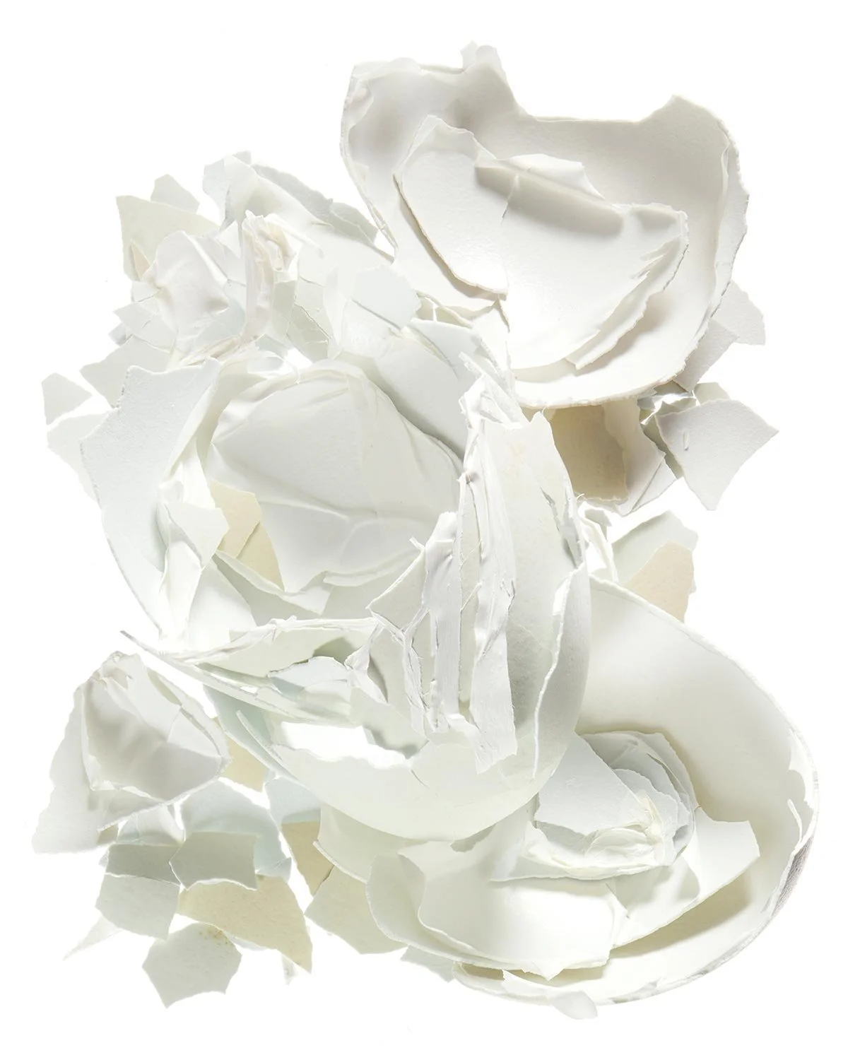 Crushed eggshells scattered on a white background.