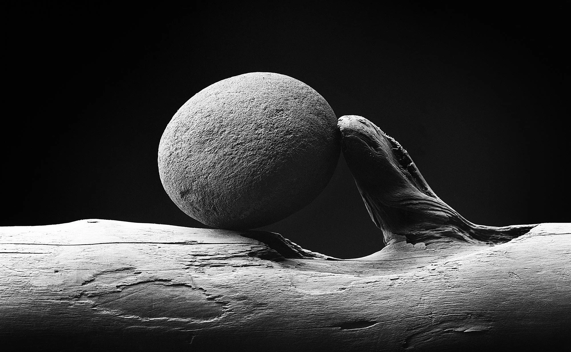 found-objects-still-life-monochorome-studio-photography-03.jpg