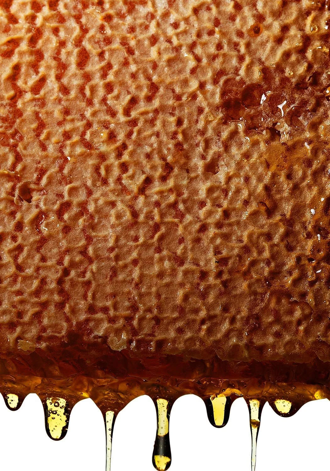 A close-up of a honeycomb with honey dripping from it.