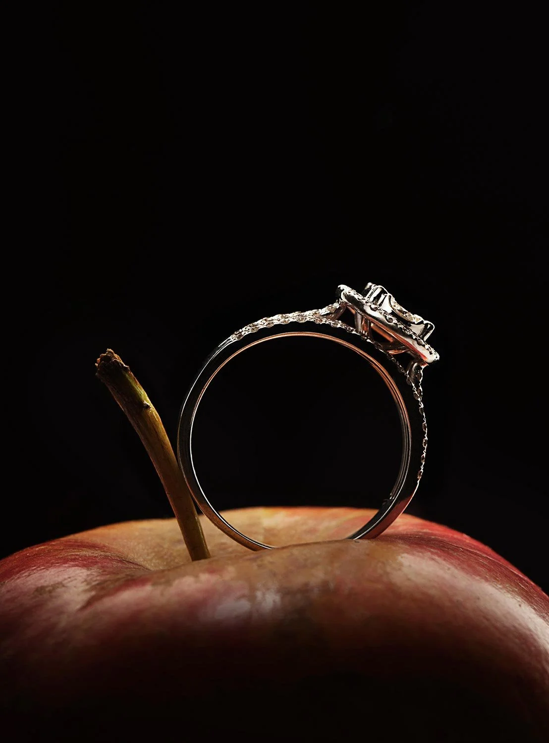 conceptual-luxury-ring-still-life-photography.jpg