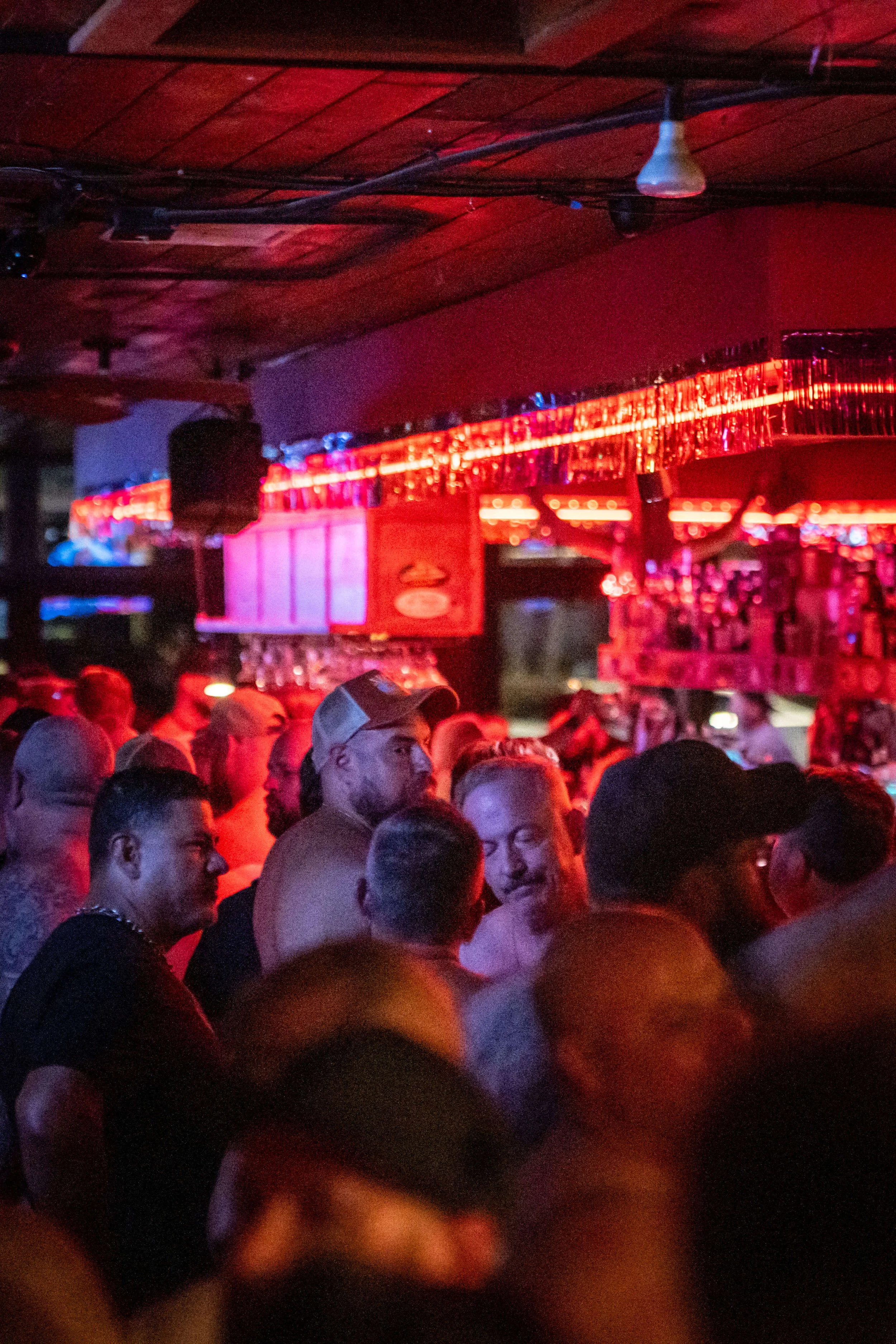 DSC02448.jpg