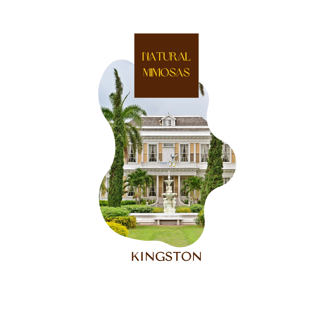KINGSTON