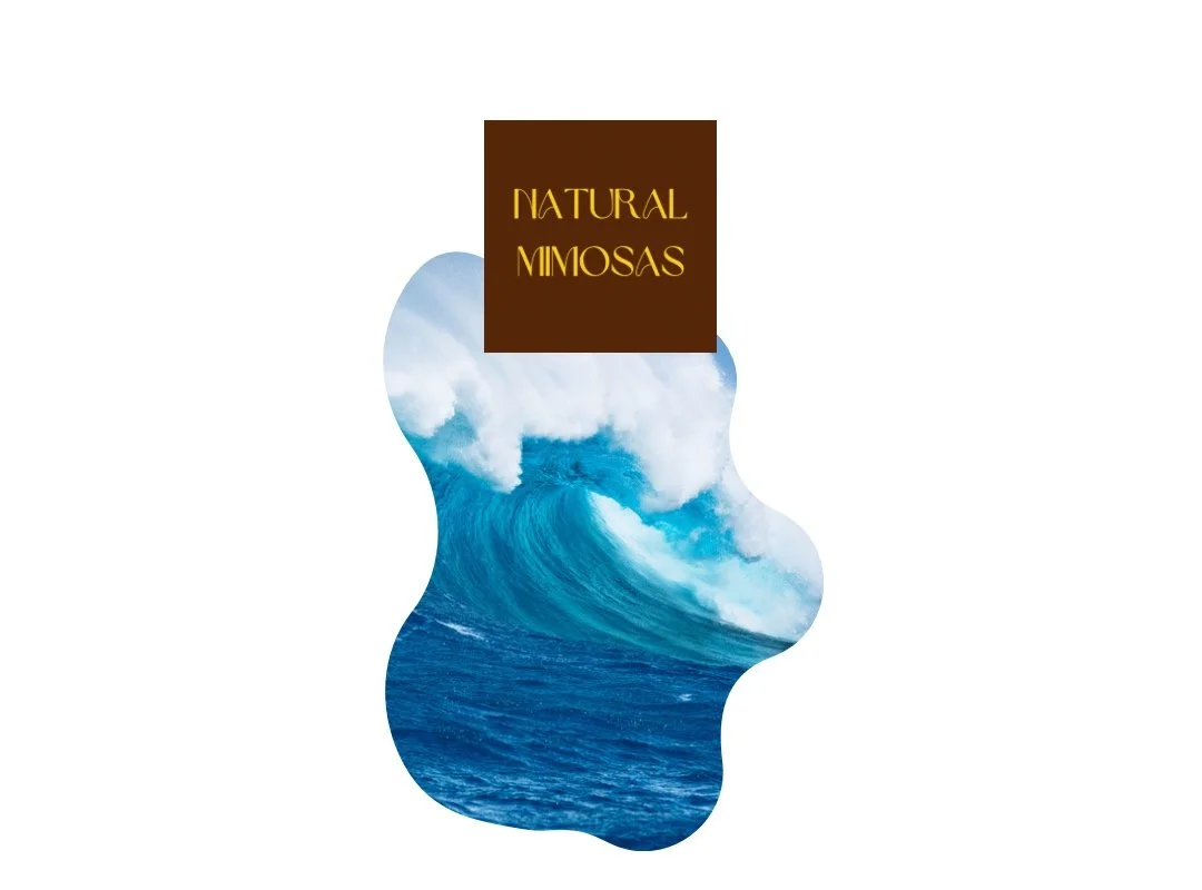 Ocean Whipped Shea Body Butter