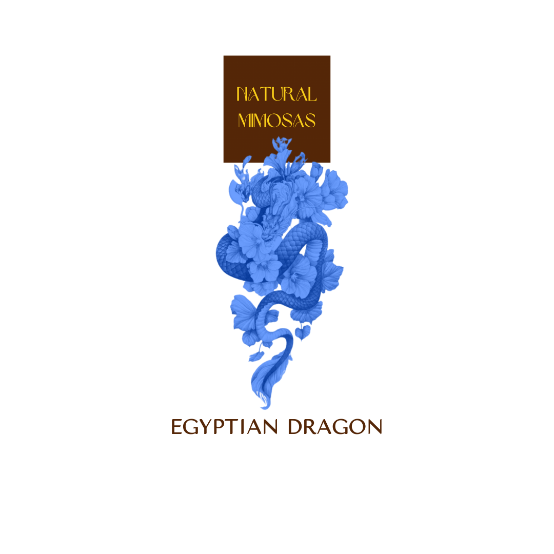 EGYPTIAN DRAGON