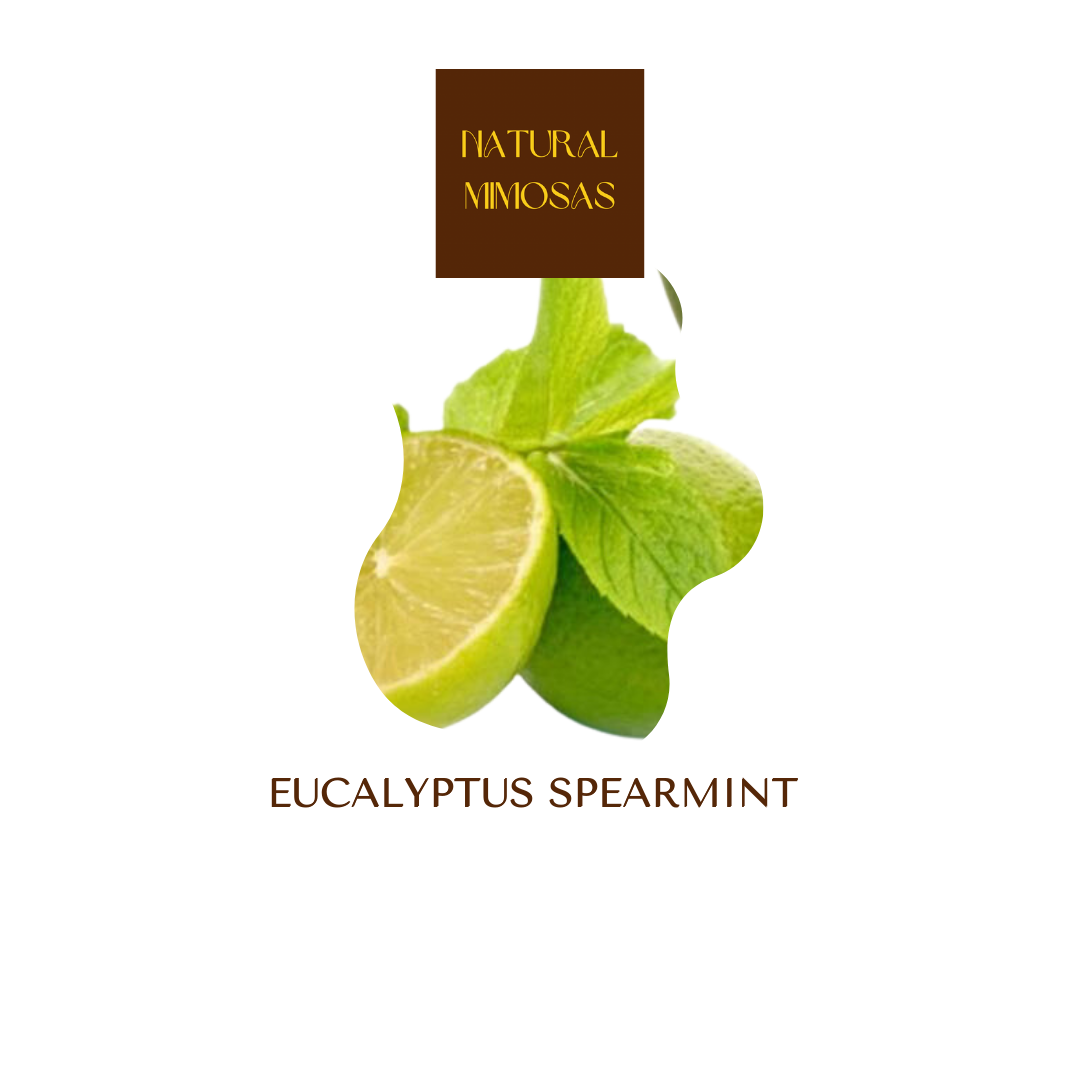 EUCALYPTUS SPEARMENT