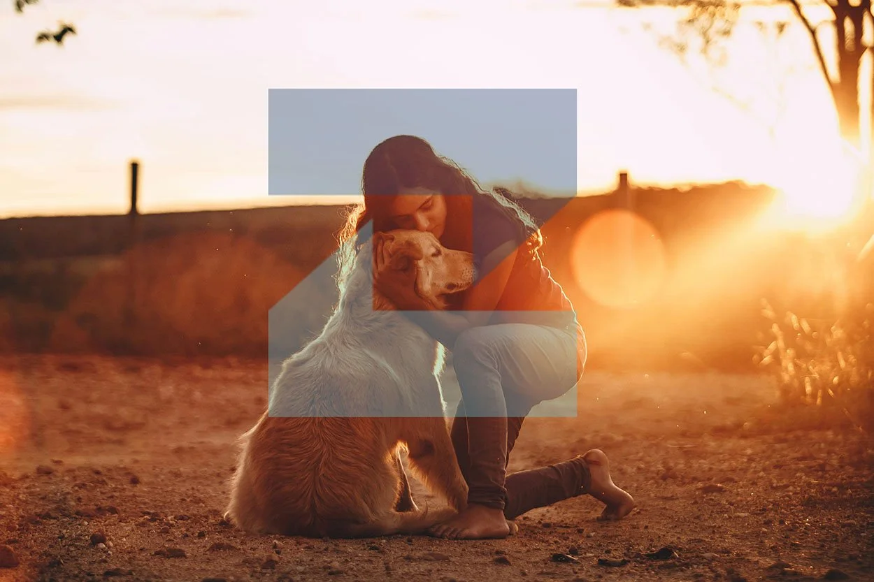 The Importance of Emotional Support Animals and How to Get an ESA Letter at ZYP Medical