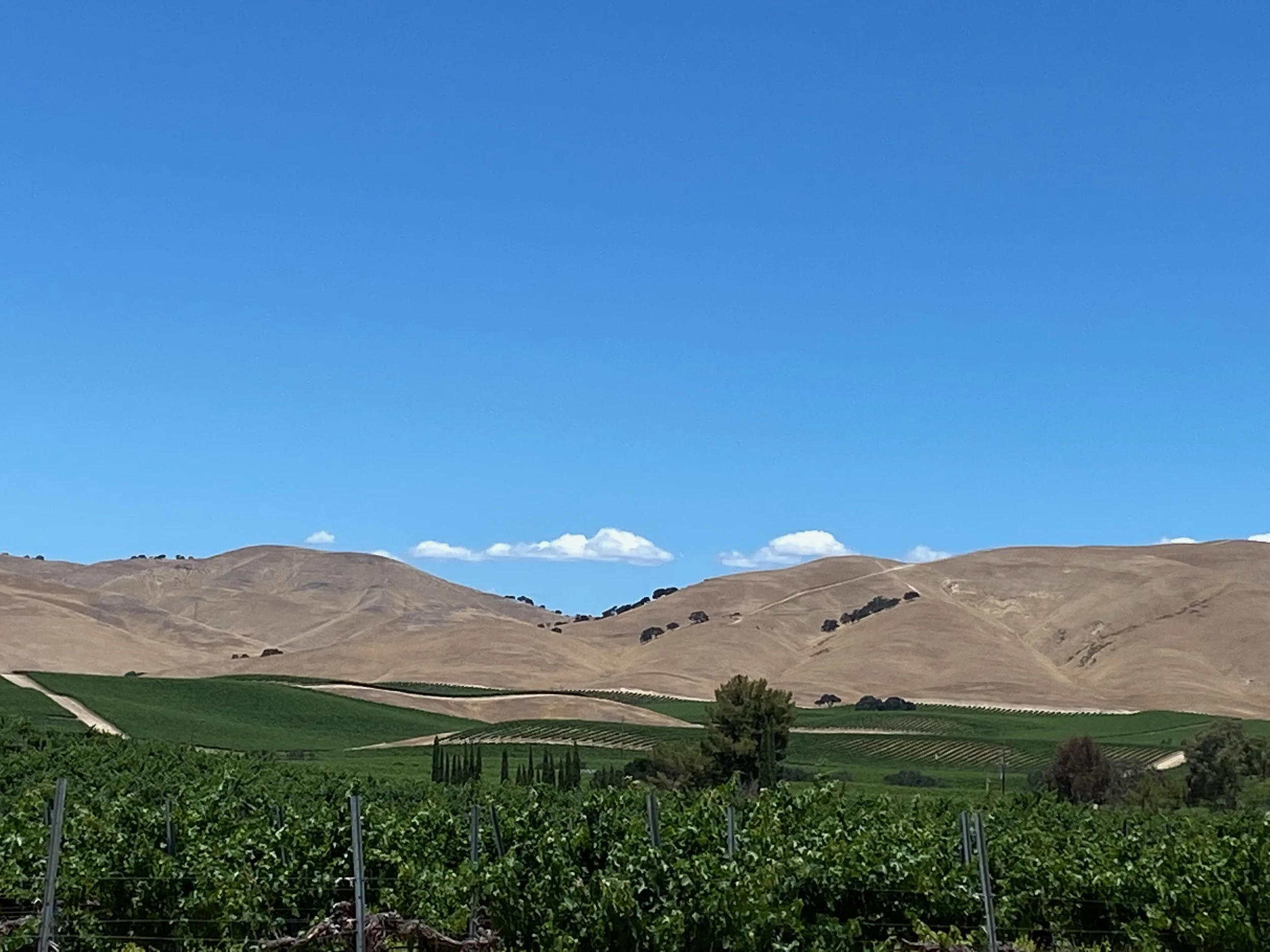 Welcome to Field Notes from Silver River