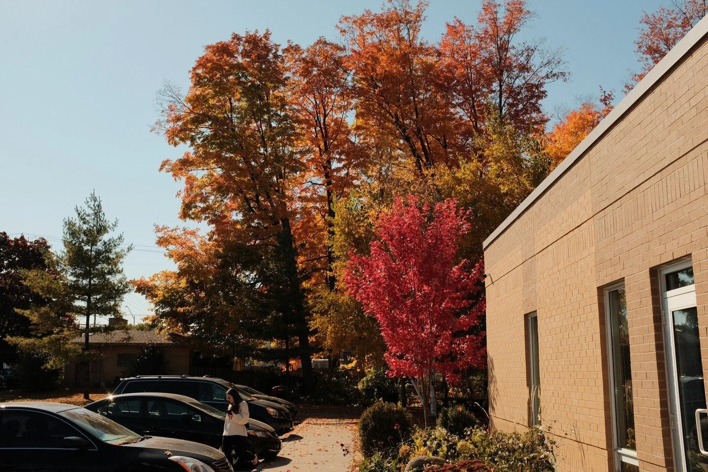 There's just something special about campus in the fall 🧣🧦🍂