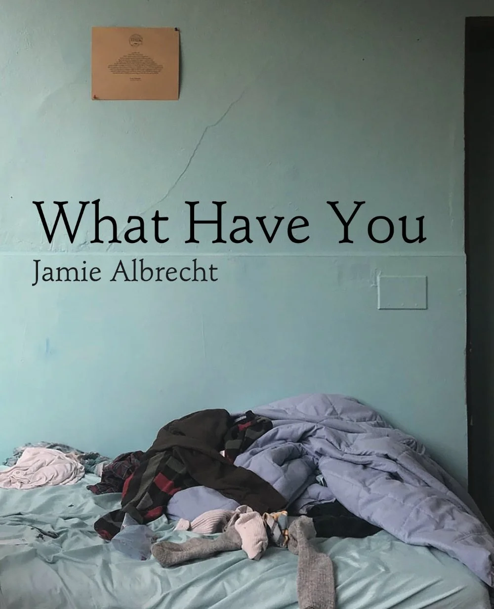 What Have You by Jamie Albrecht