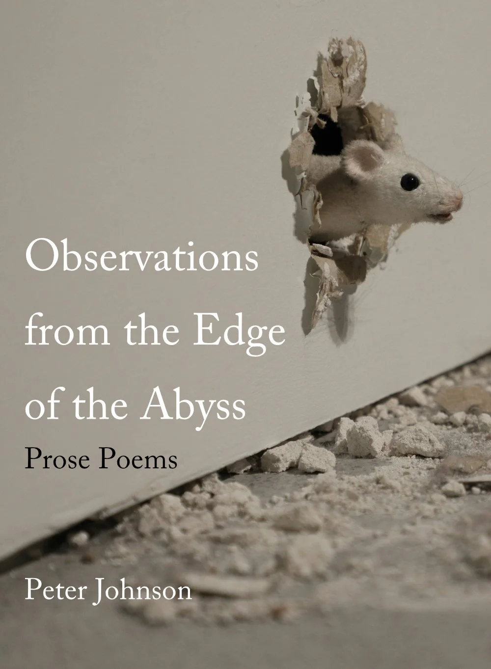 Observations from the Edge of the Abyss by Peter Johnson