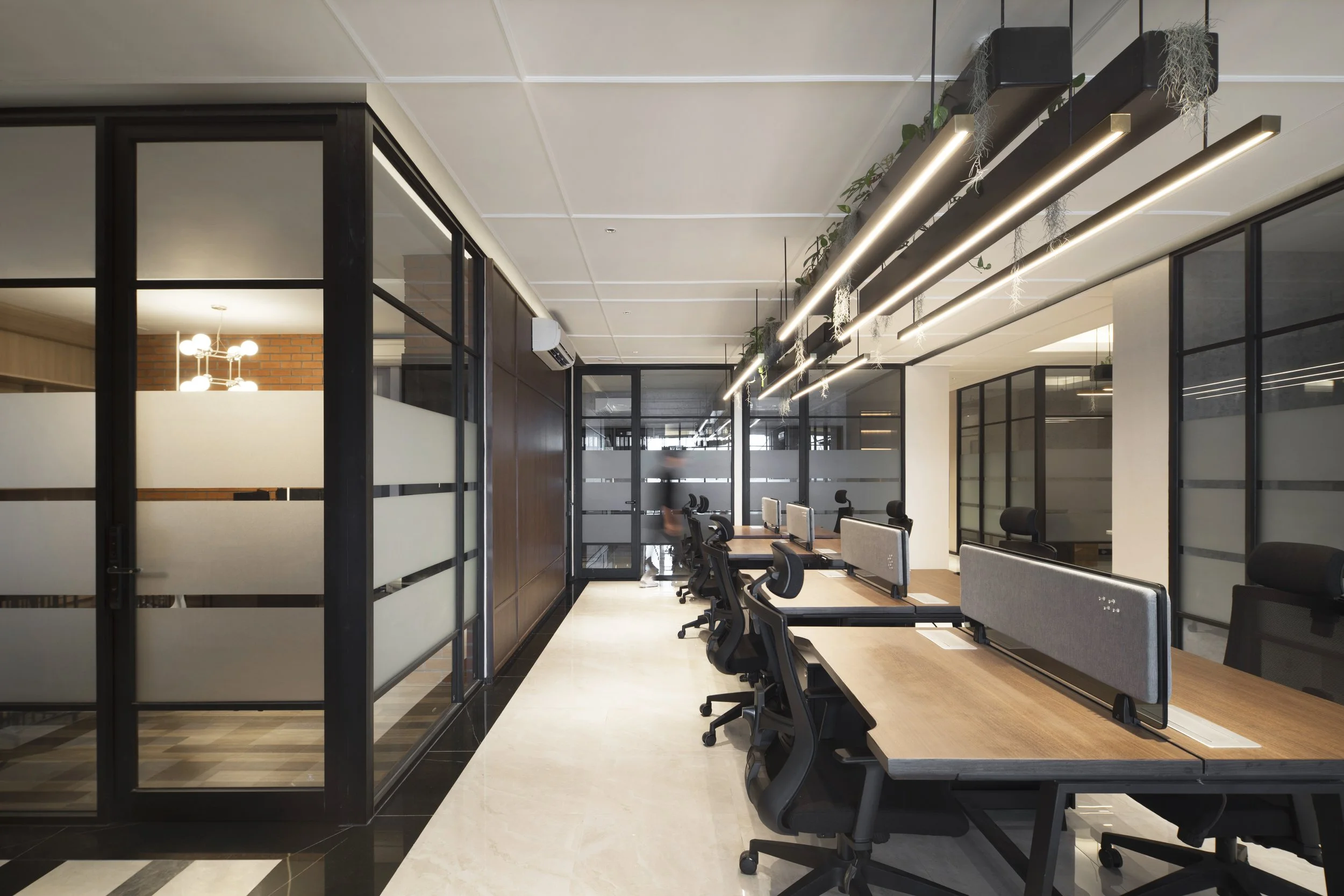 PJD_NHM PLUIT (1).jpg