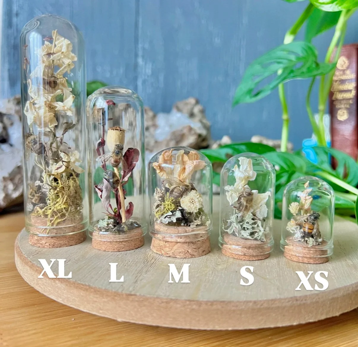 IMG_5036.jpeg (Copy)