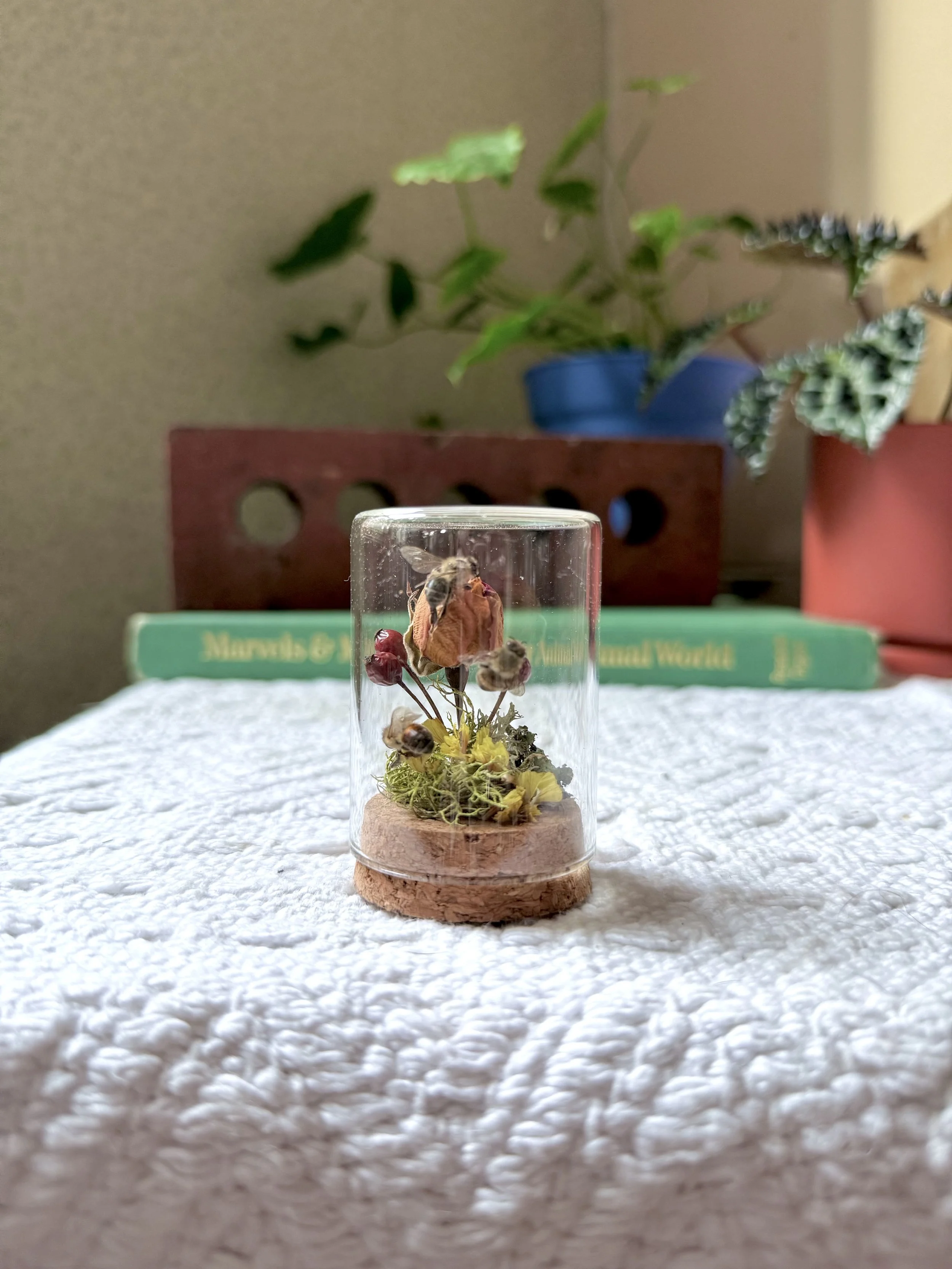 rose bud + rose hips + bees 2