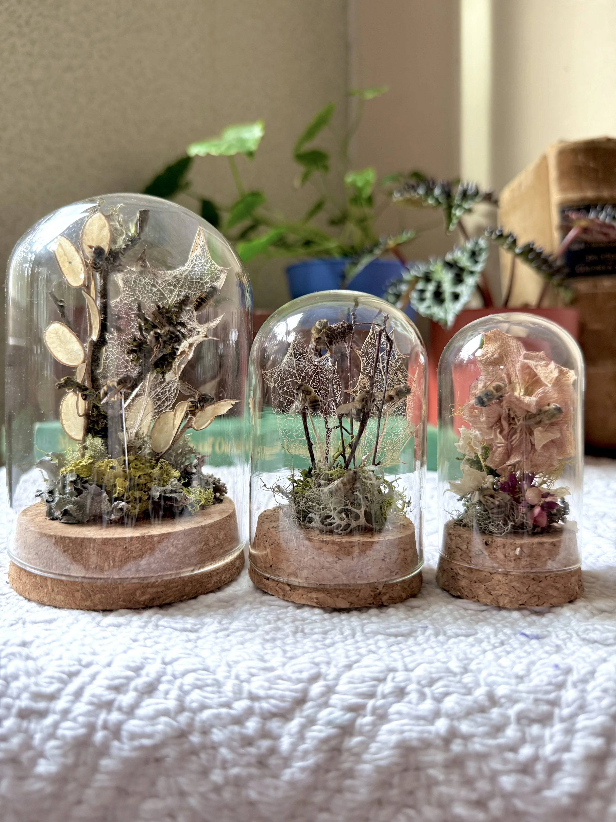 IMG_5055.jpeg (Copy) (Copy) (Copy)