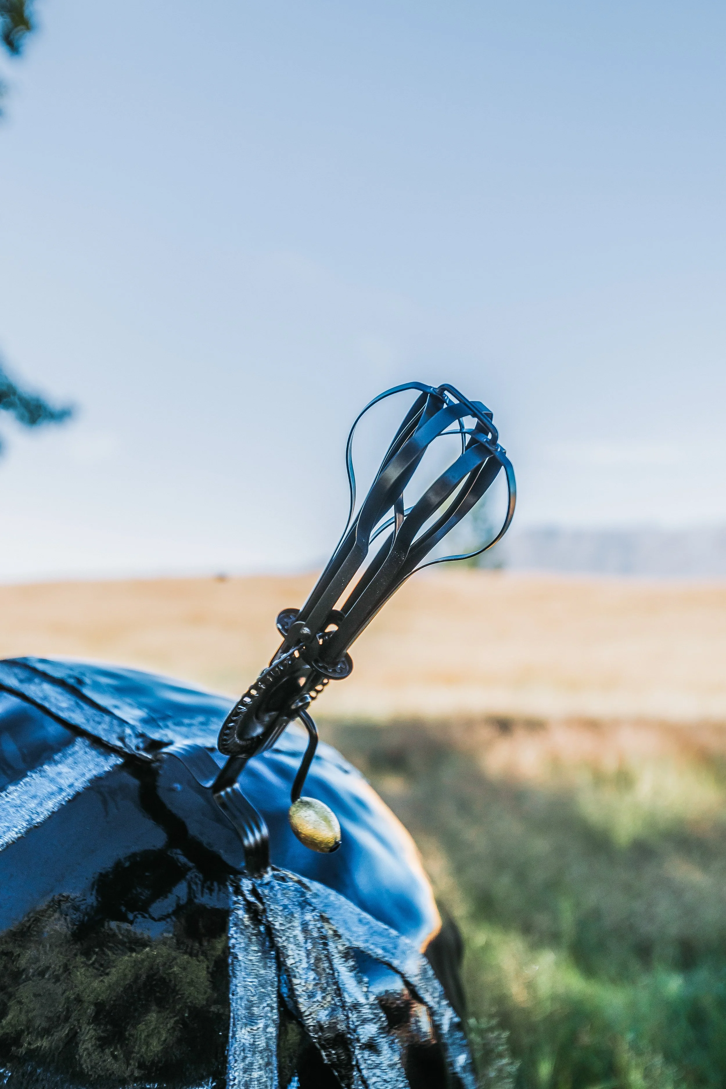 Kiwi Art Trail-4.jpg