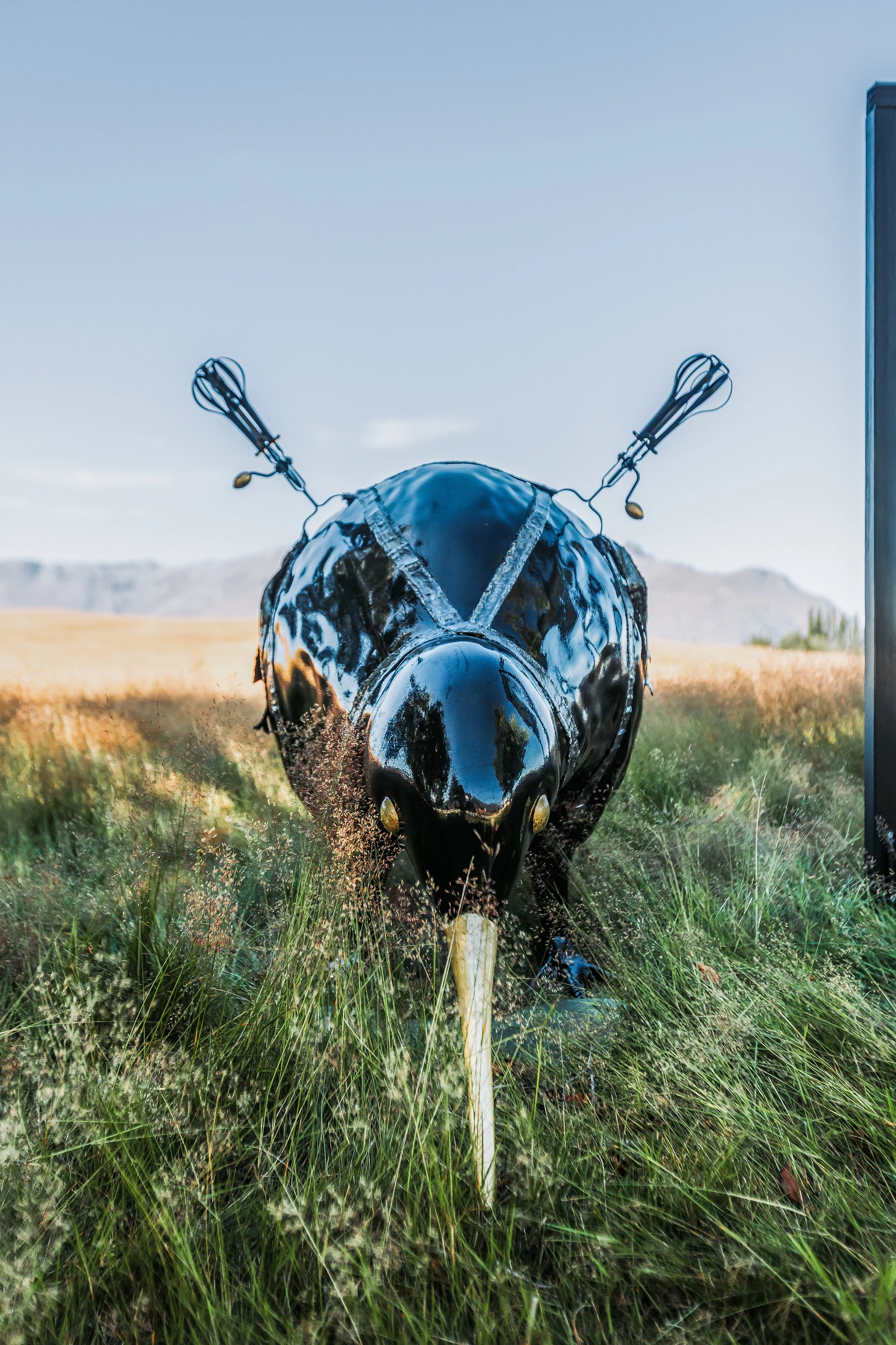 Kiwi Art Trail-35.jpg