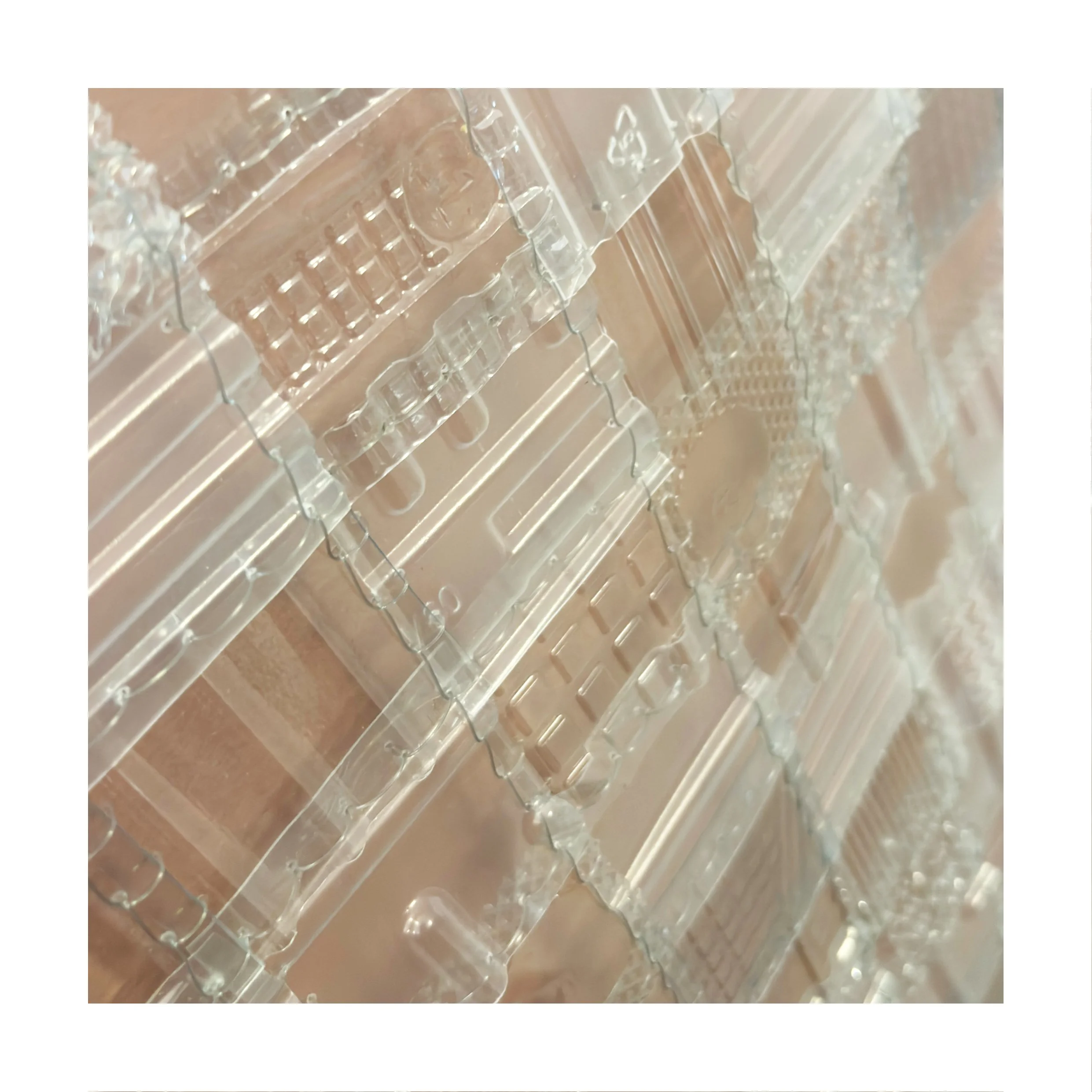 Newborn web 6.jpg