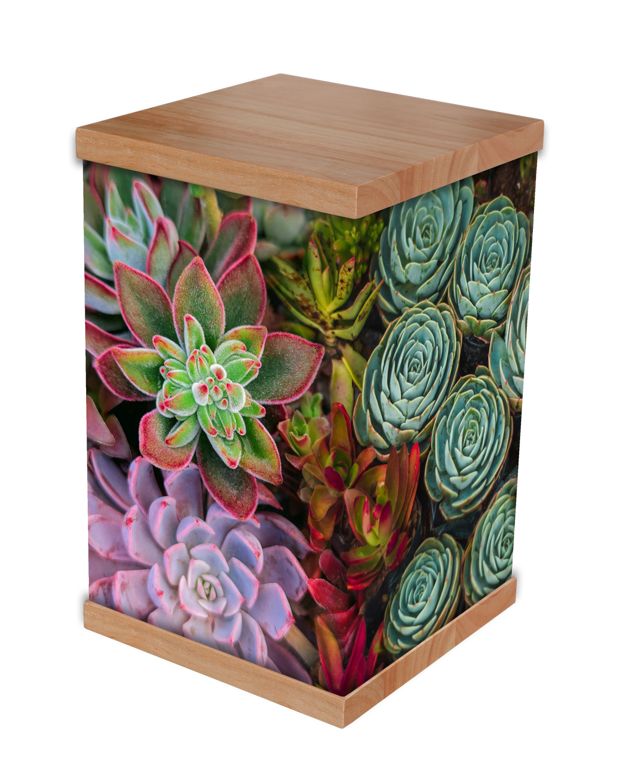 This succulent garden cremation urn features a vibrant photo wrap of colourful succulents, symbolising strength and eternal love. Finished with a natural timber lid and base, it offers a unique, nature-inspired tribute to honor a loved one. Perfect f