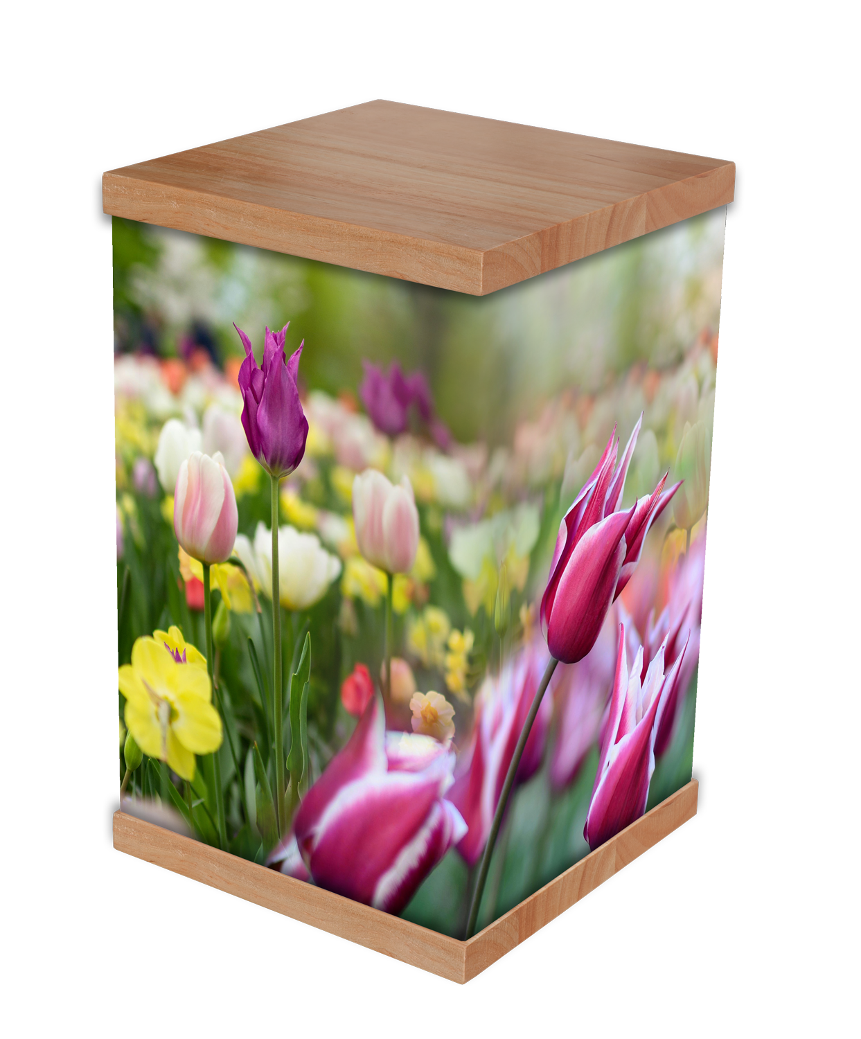 Our Tulip Cremation Urn, featuring a stunning display of vibrant tulips symbolising love, renewal, and remembrance. With a durable timber lid and base, this urn blends natural warmth with floral elegance. Inspired by the rich history of tulips, it of