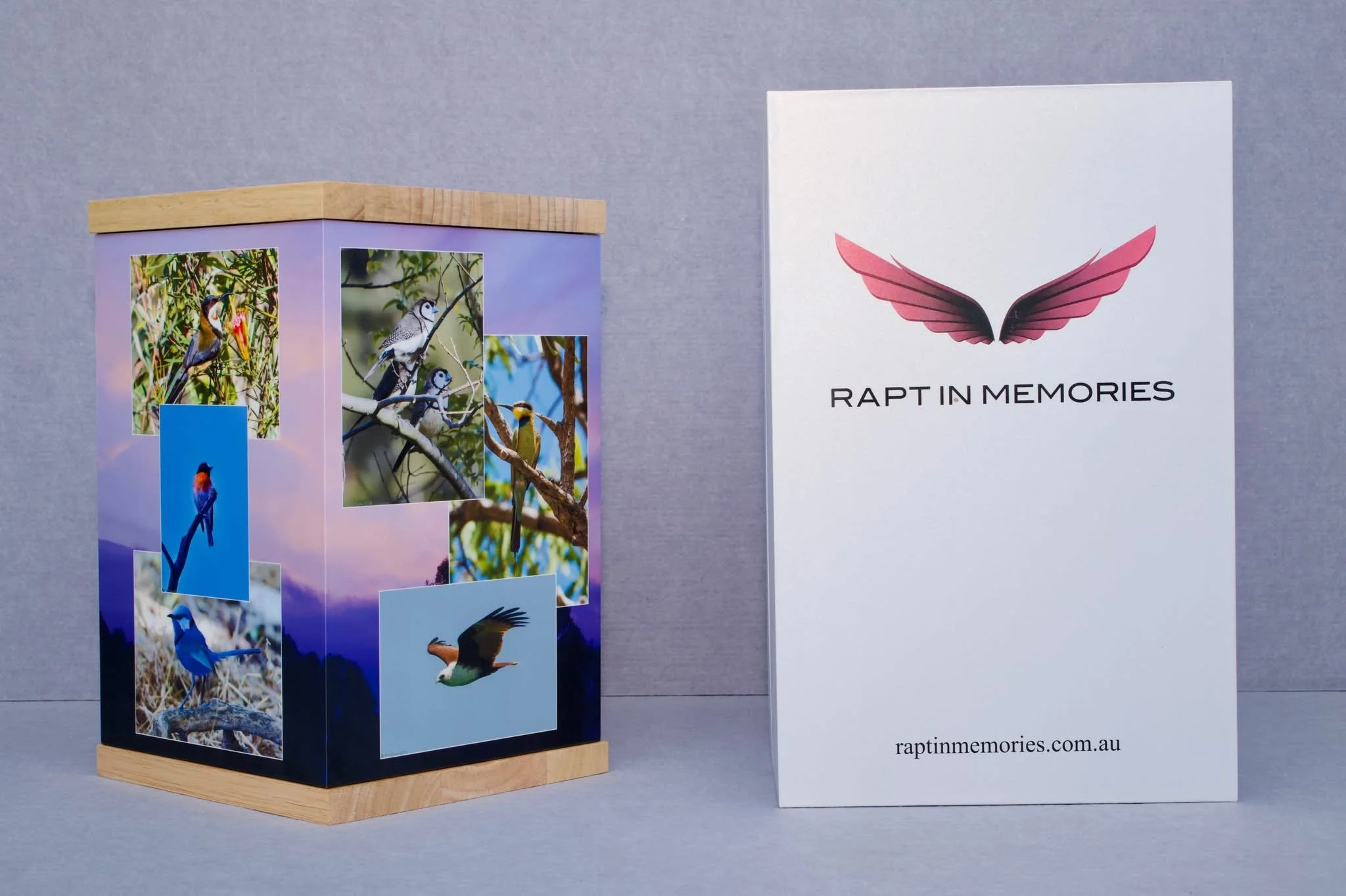 A Bird Photographer’s Final Tribute