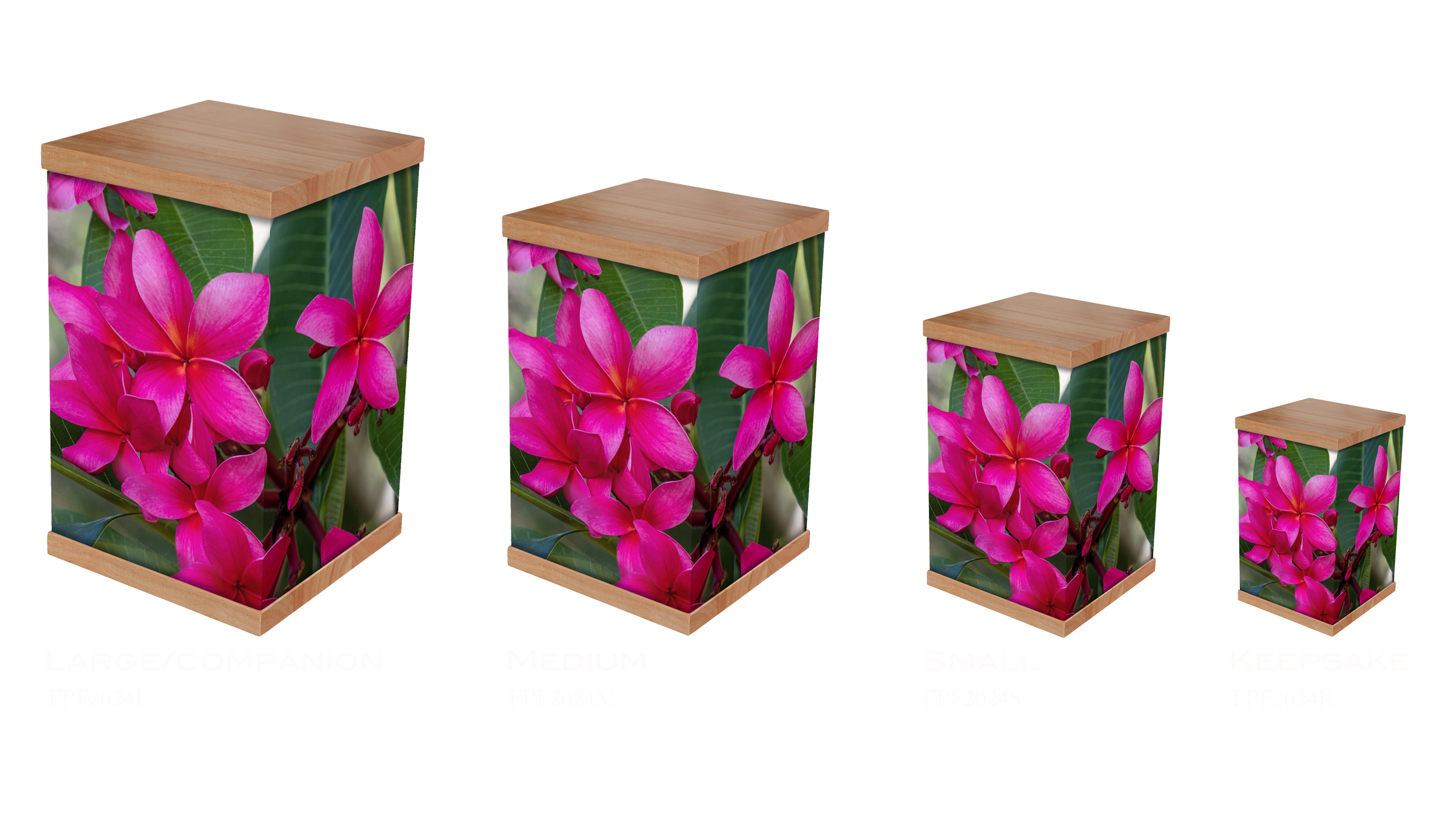 Our Hot Pink Frangipani cremation urn is a vibrant tribute that captures the essence of beauty and love. Featuring a stunning design of bright pink frangipani flowers, this urn symbolises cherished memories and the joy of life. It is a meaningful way