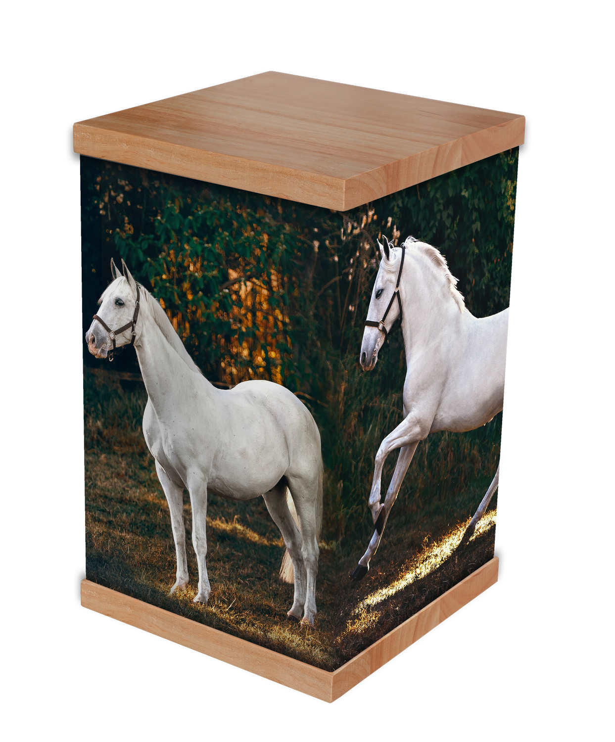 1500-Px-White-Horse-Back-View-New-Deisgn-3D-Urn-Template.png