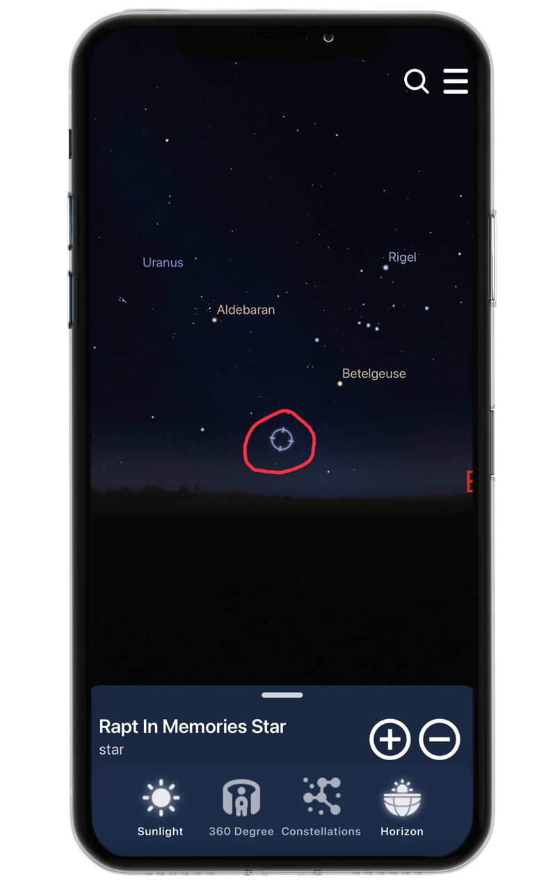 Smartphone screen displaying a star map with labeled stars and planets, a red circle highlighting a star, and menu icons at the bottom for solar system exploration.