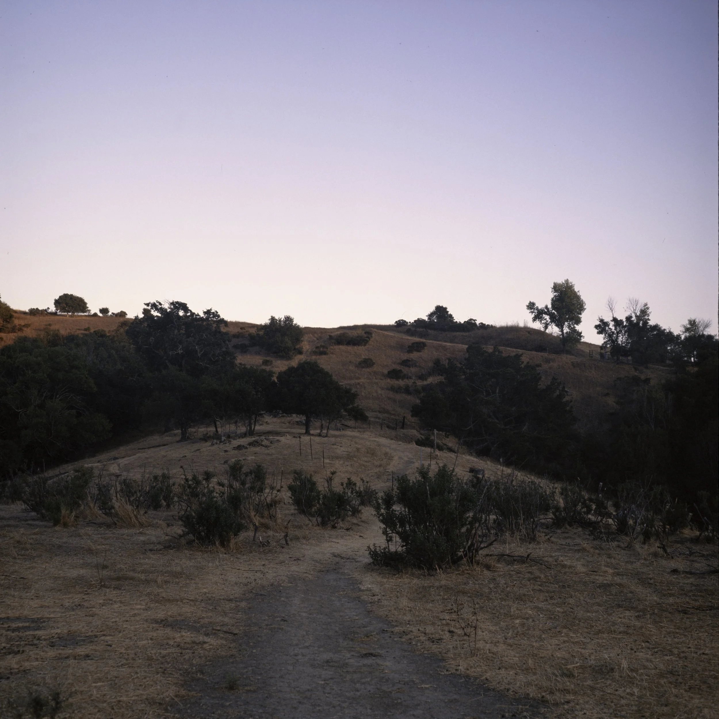 DSC_8645-HDR.jpg