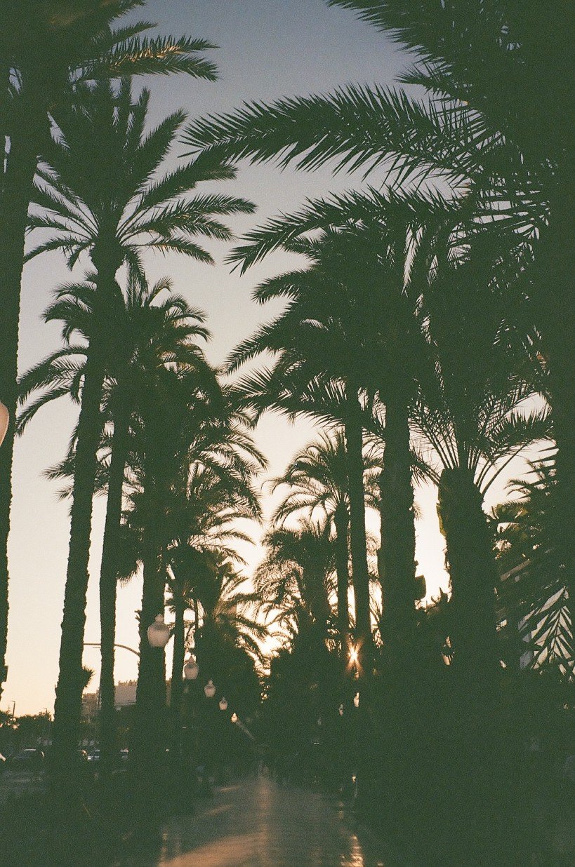 KakaoTalk_Photo_2024-06-07-20-13-04 005.jpeg