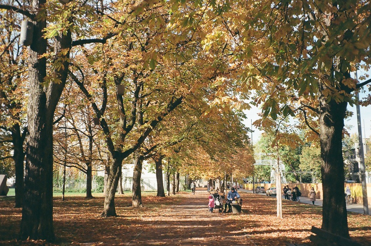 KakaoTalk_Photo_2024-06-07-20-13-38 012.jpeg