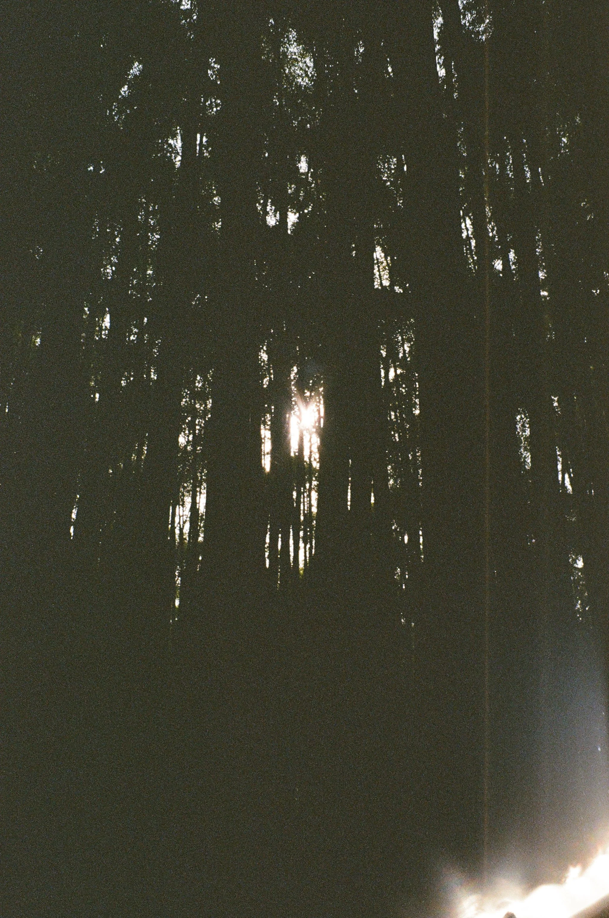 000044050035.jpg