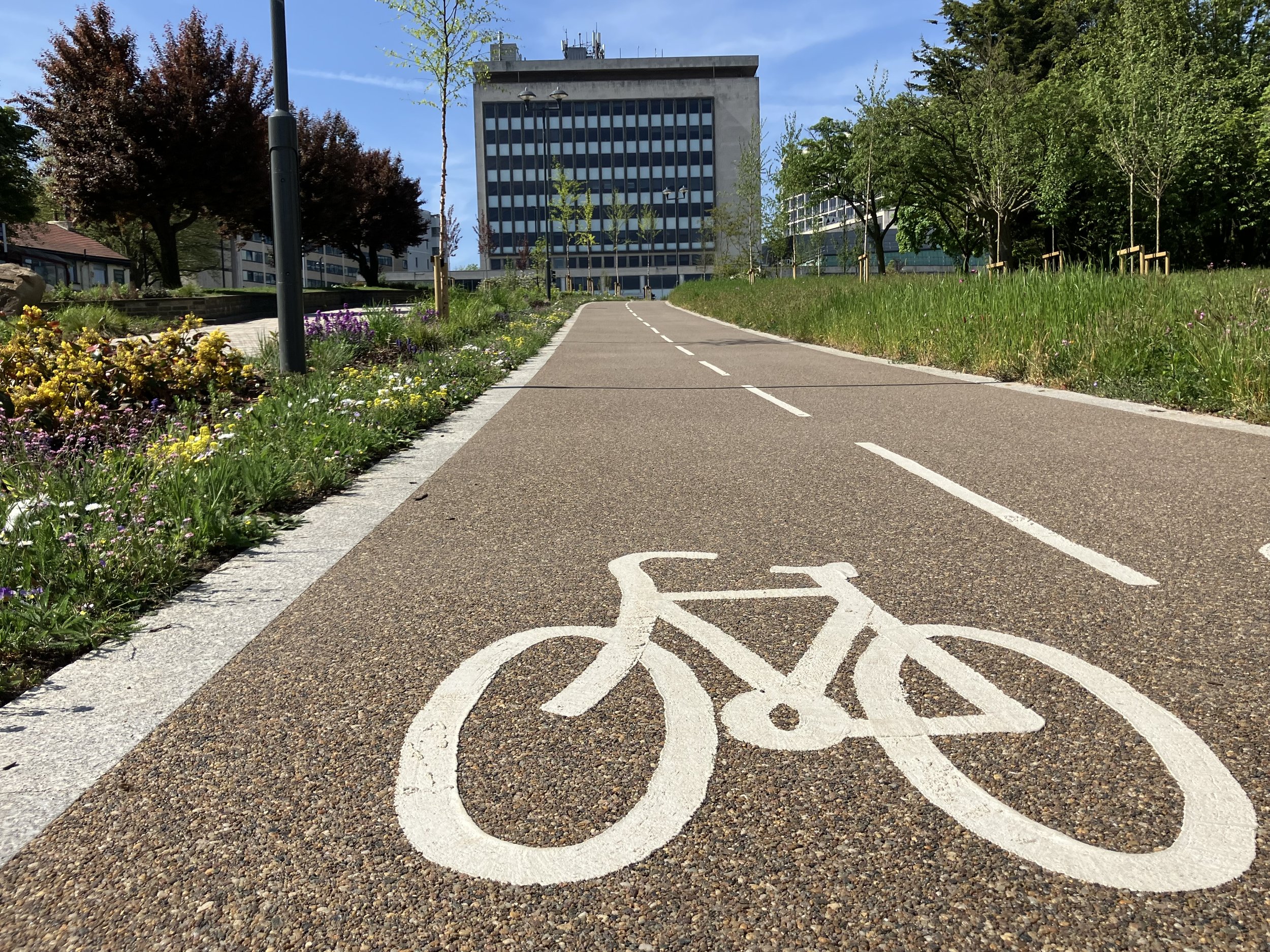 A dedicated bicycle lane with white bike symbol painted on the pavement, flanked by colorful flower beds on the left and green grass on the right, with trees, a tall building, and a clear blue sky in the background.