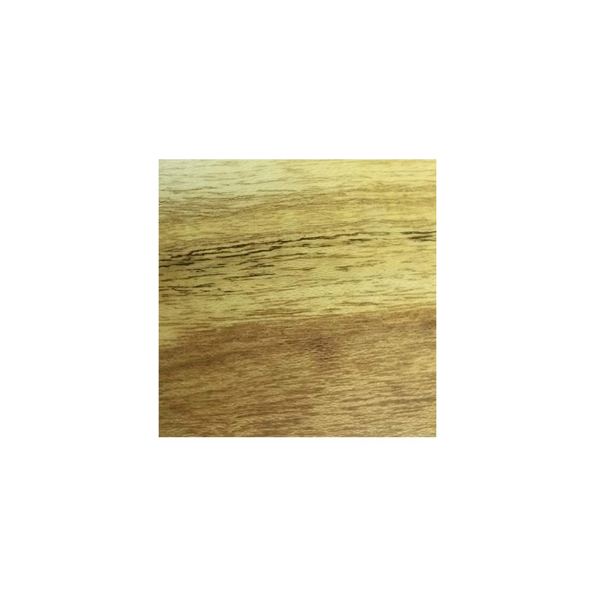 ACACIA2.png