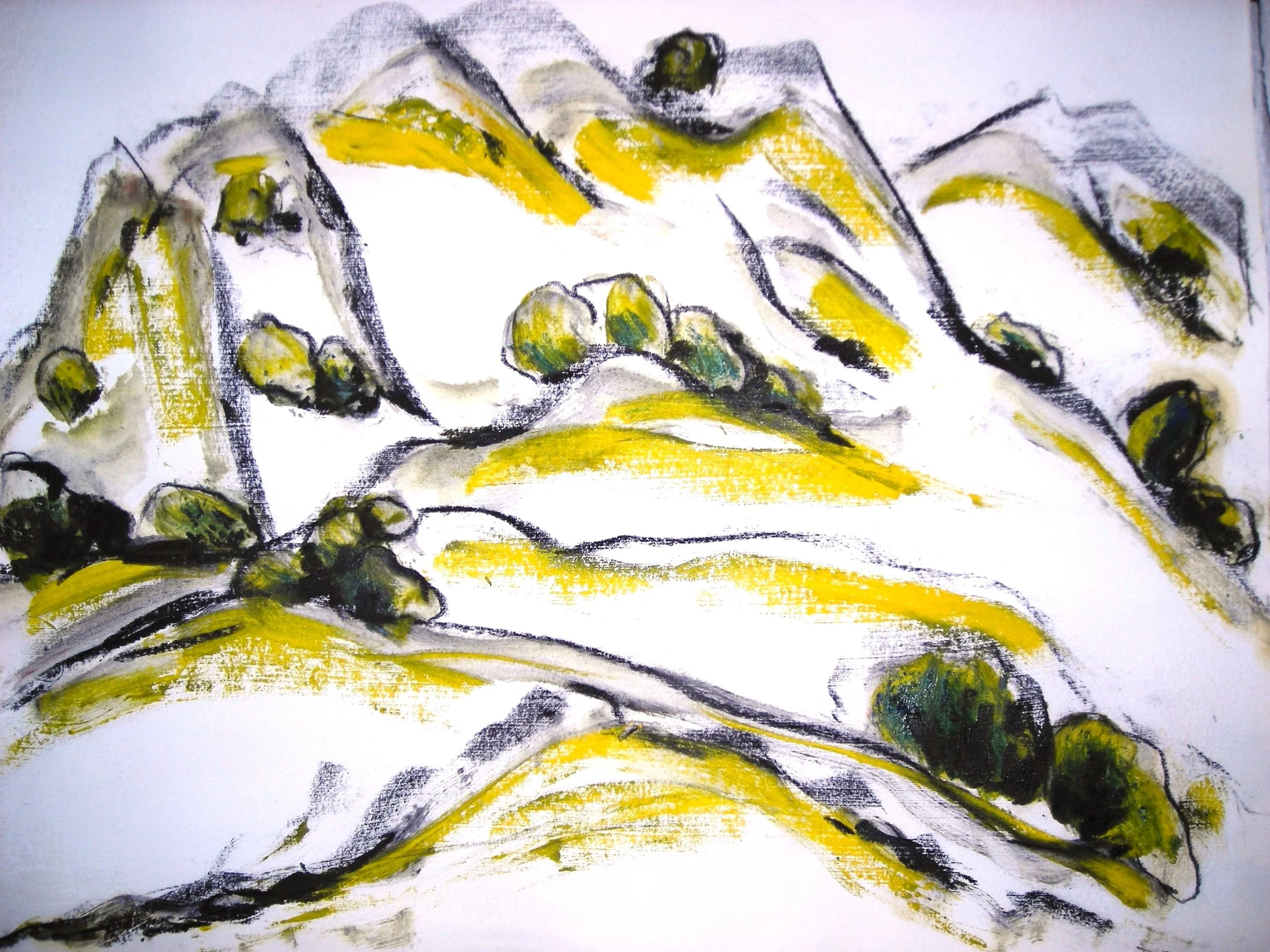Jan Wurm 2011 Diablo14 Mixed media on paper 11x14.jpeg