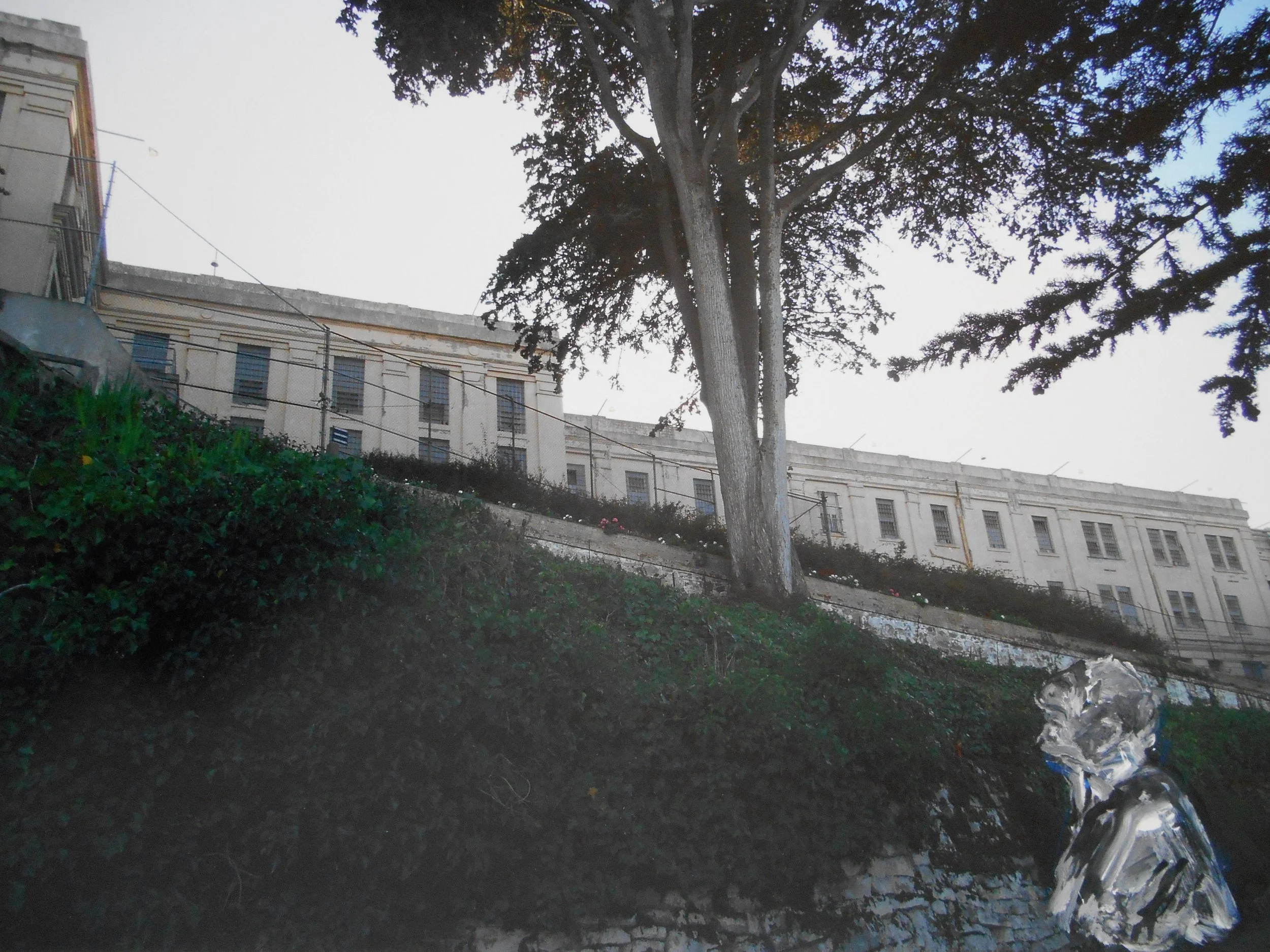 jw_Walls_2021_6514.jpg