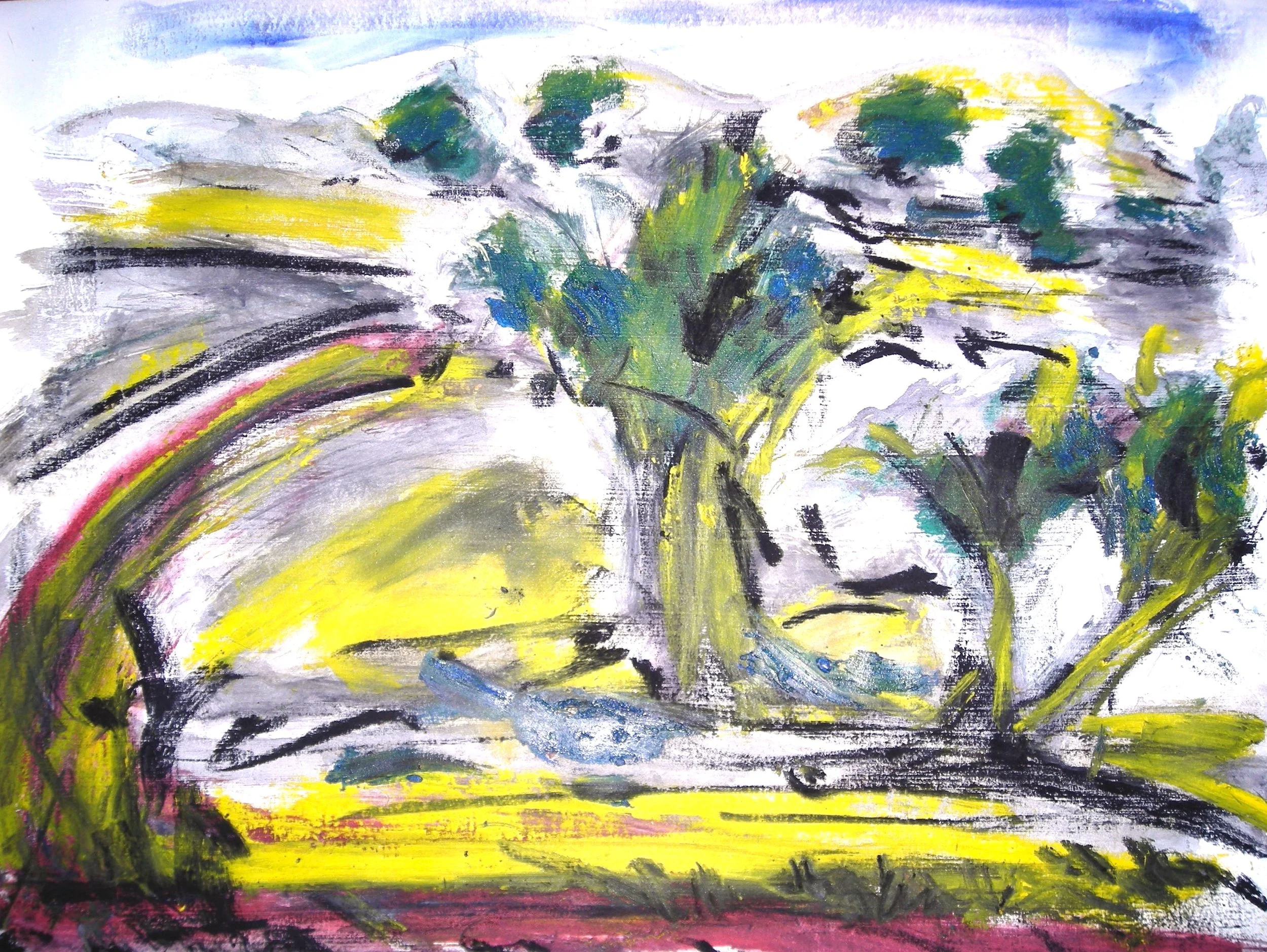 Jan Wurm 2011 Diablo11 Mixed media on paper 11x14.jpeg