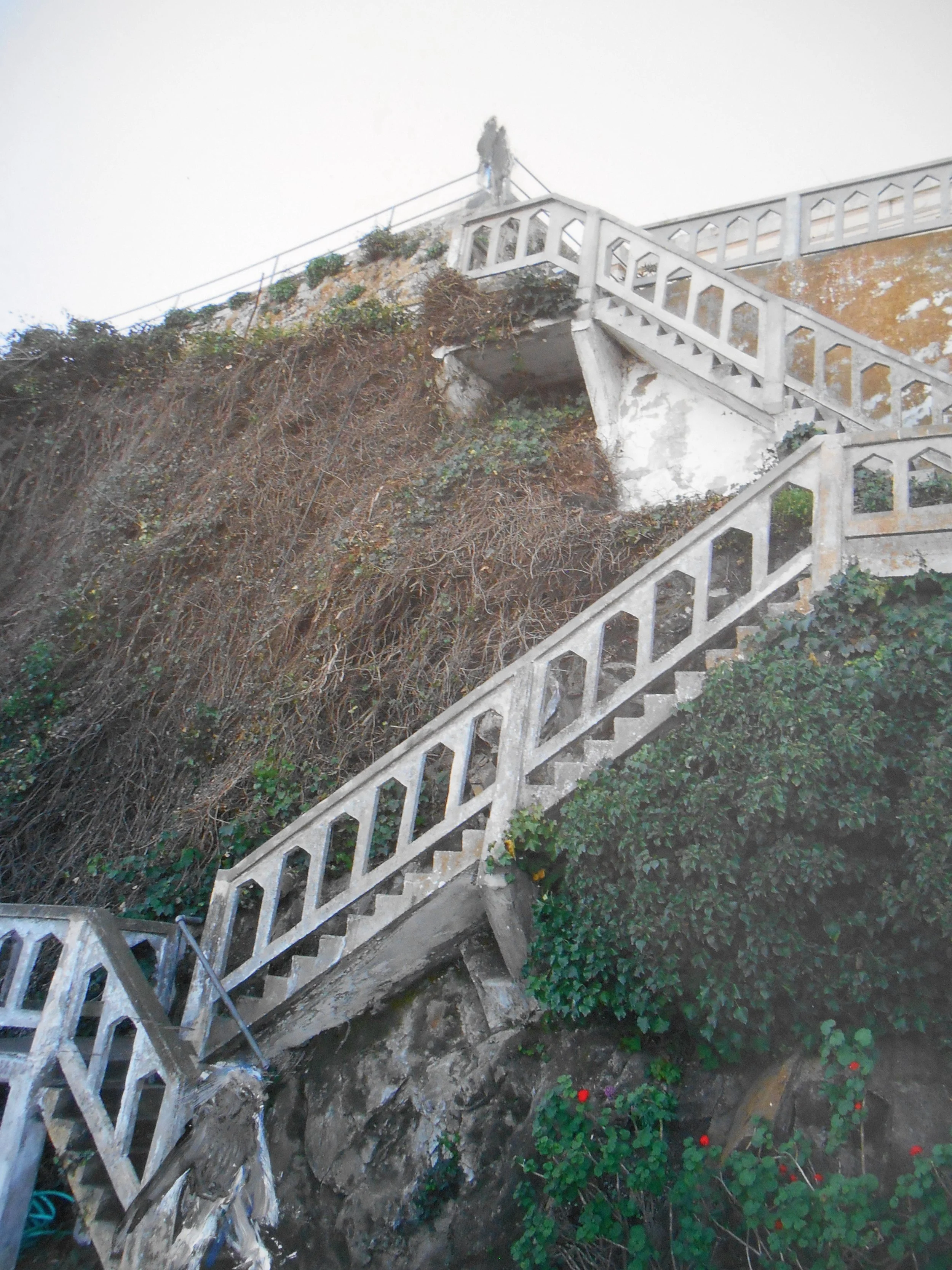 jw_Walls_2021_1253.jpg