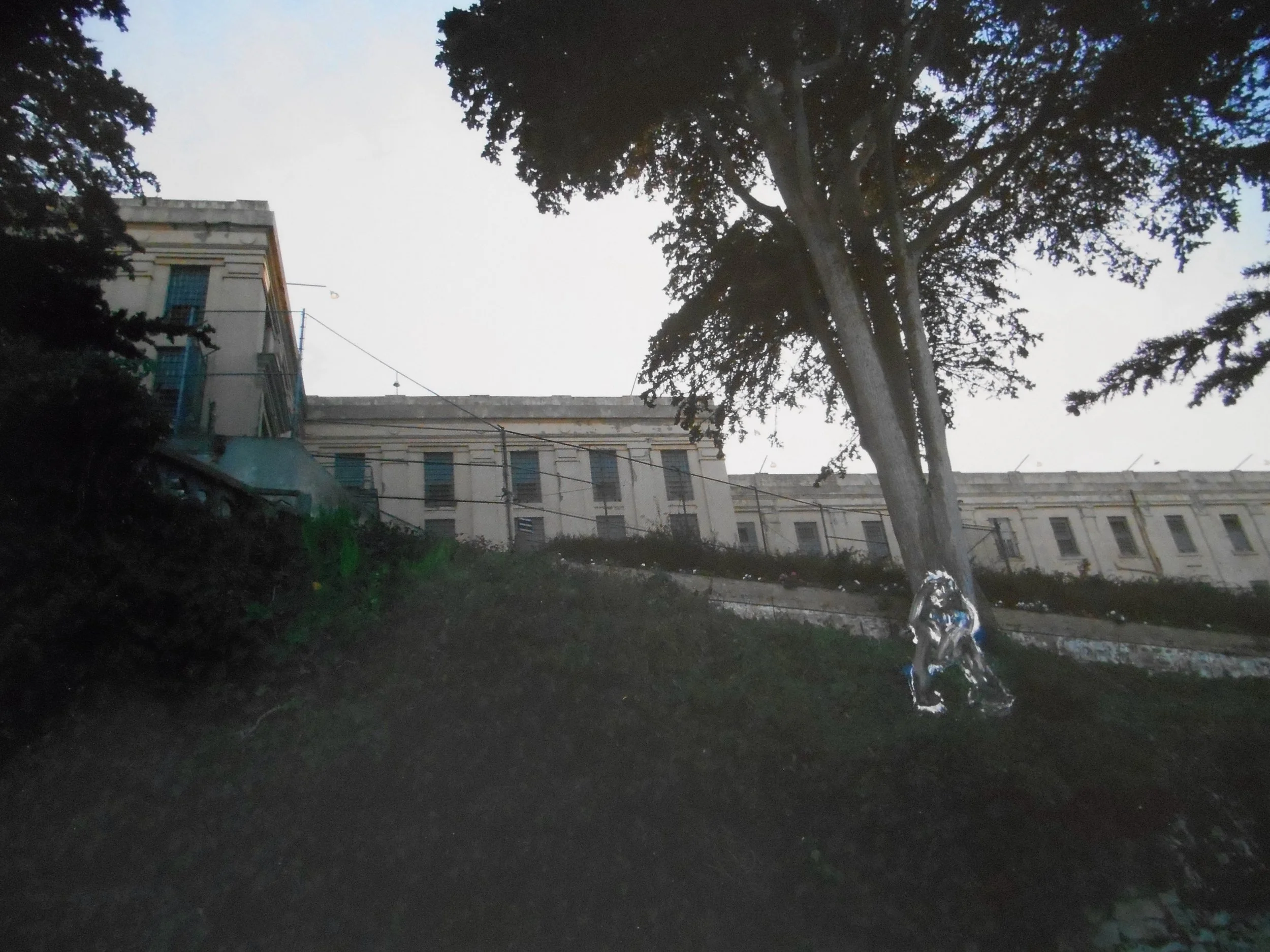 jw_Walls_2021_6800.jpg