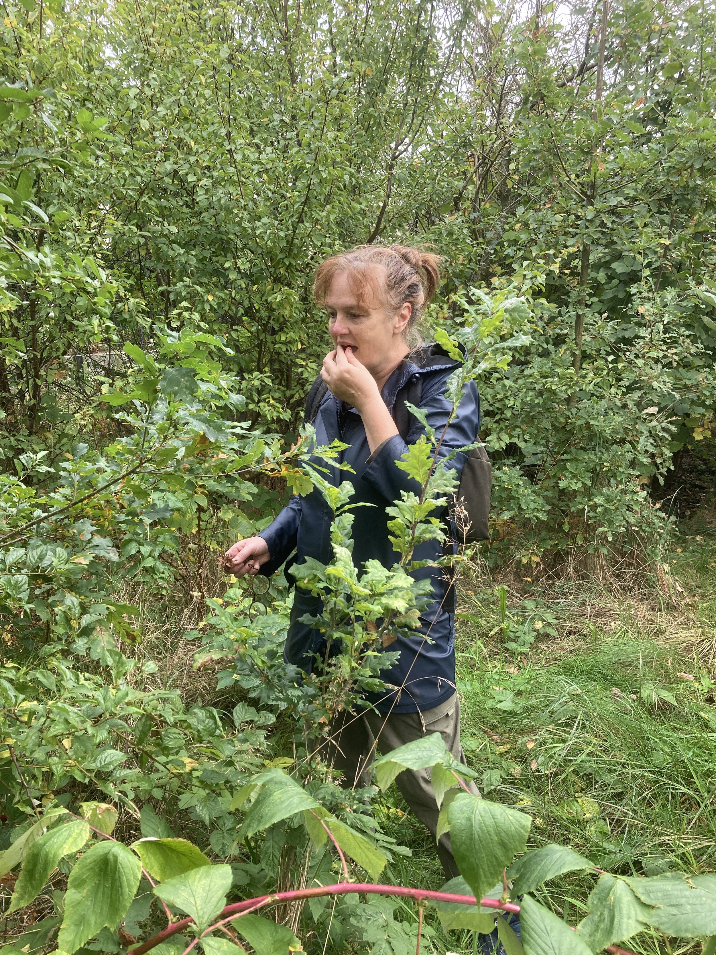 Stichting Femkes Voedselbos ziet de zon weer schijnen