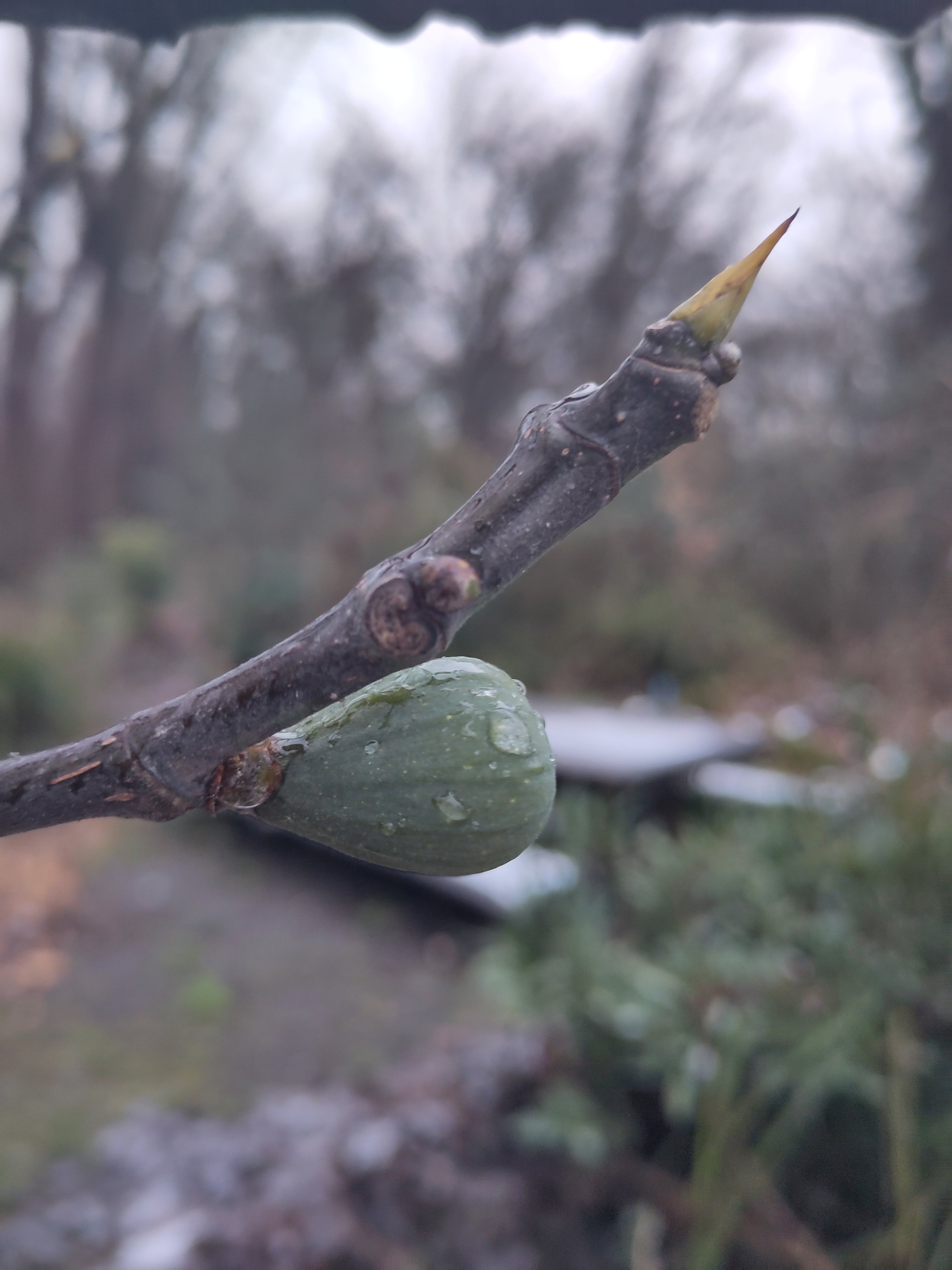 Een explosie van activiteiten