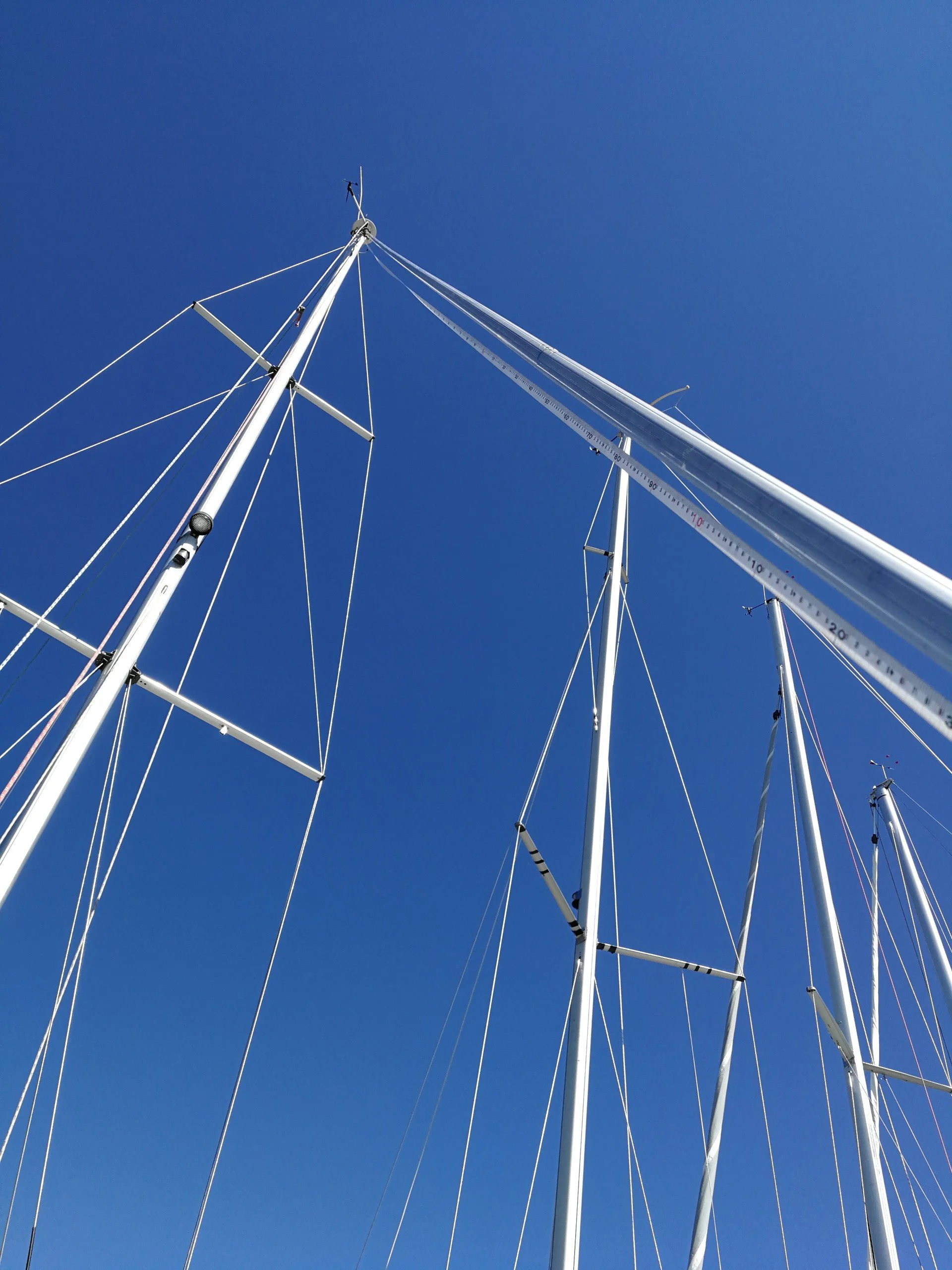 miikan rikijutut.jpg