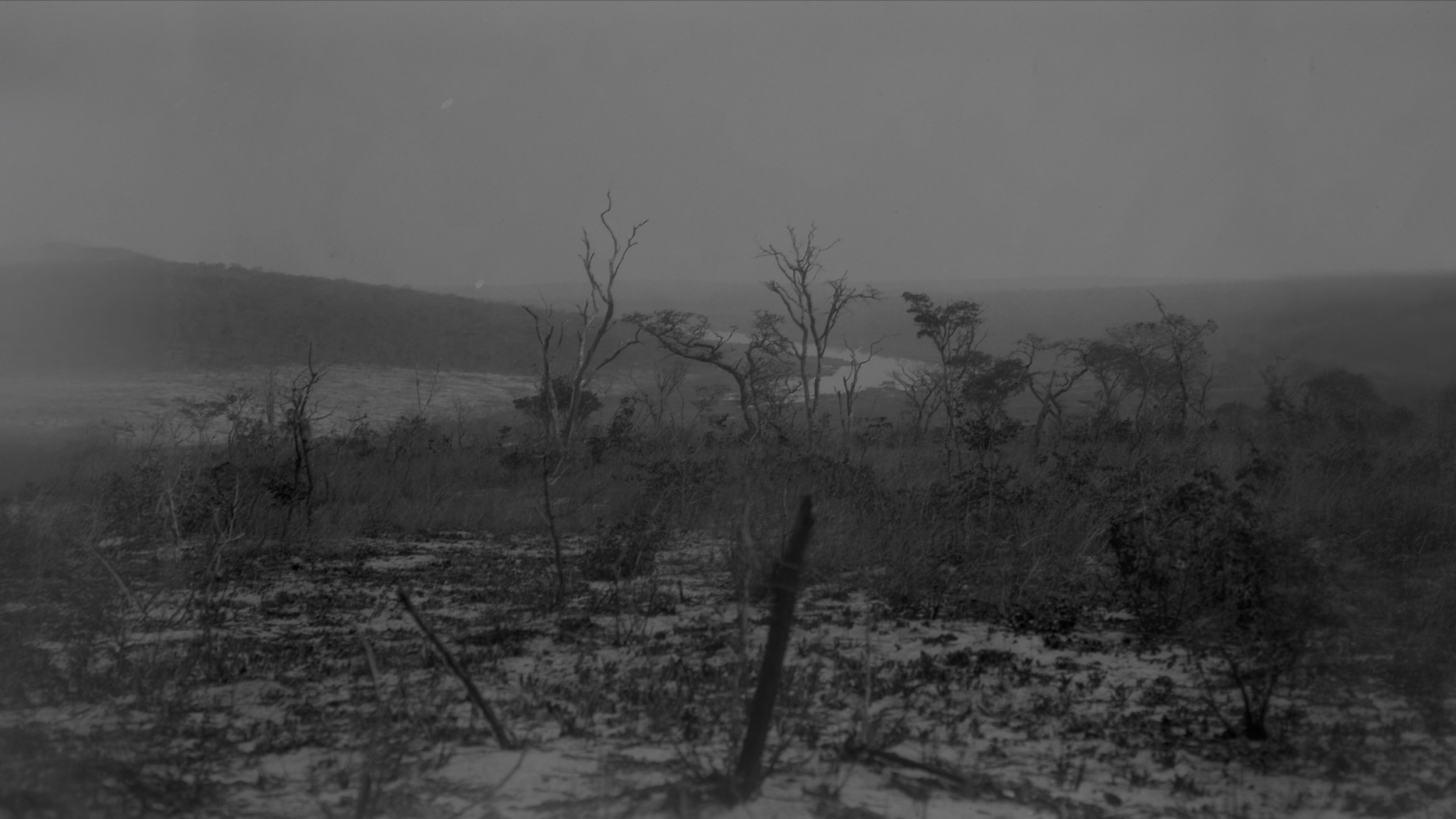 Why Do We Show The Hours of Light and Darkness in the Same Circle?, de Susana de Sousa Dias