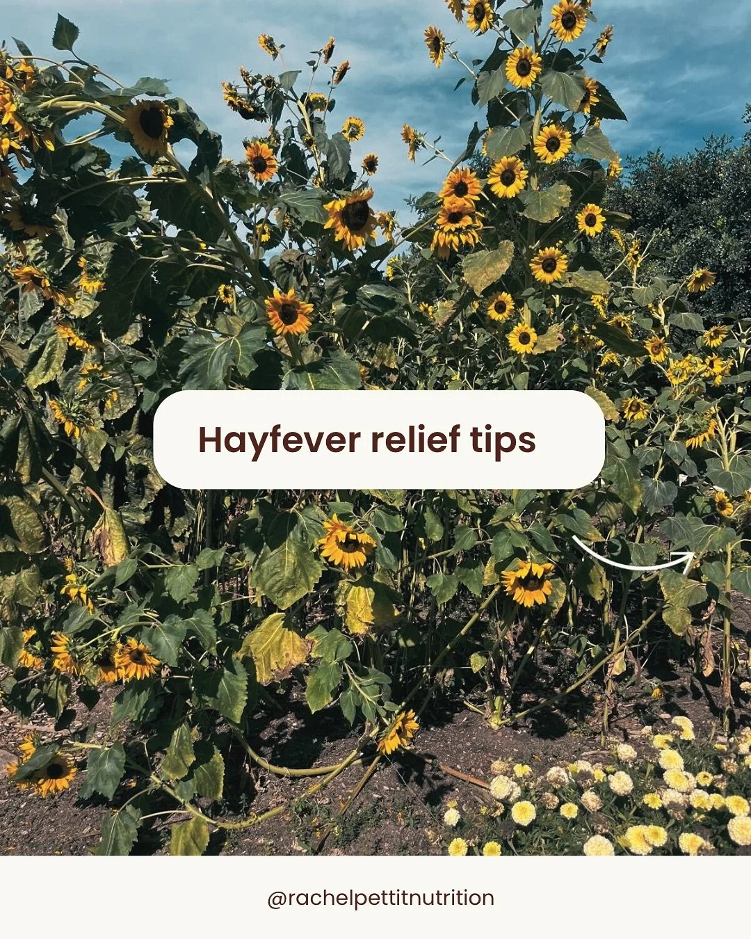 Is hayfever already driving you mad?

Swipe for natural things you can try to help with your symptoms.

I&rsquo;ve broken it all down in a blog post in more detail! Link in bio 💚

#hayfeverrelief #naturalremedies #seasonalallergies #nutritiontips