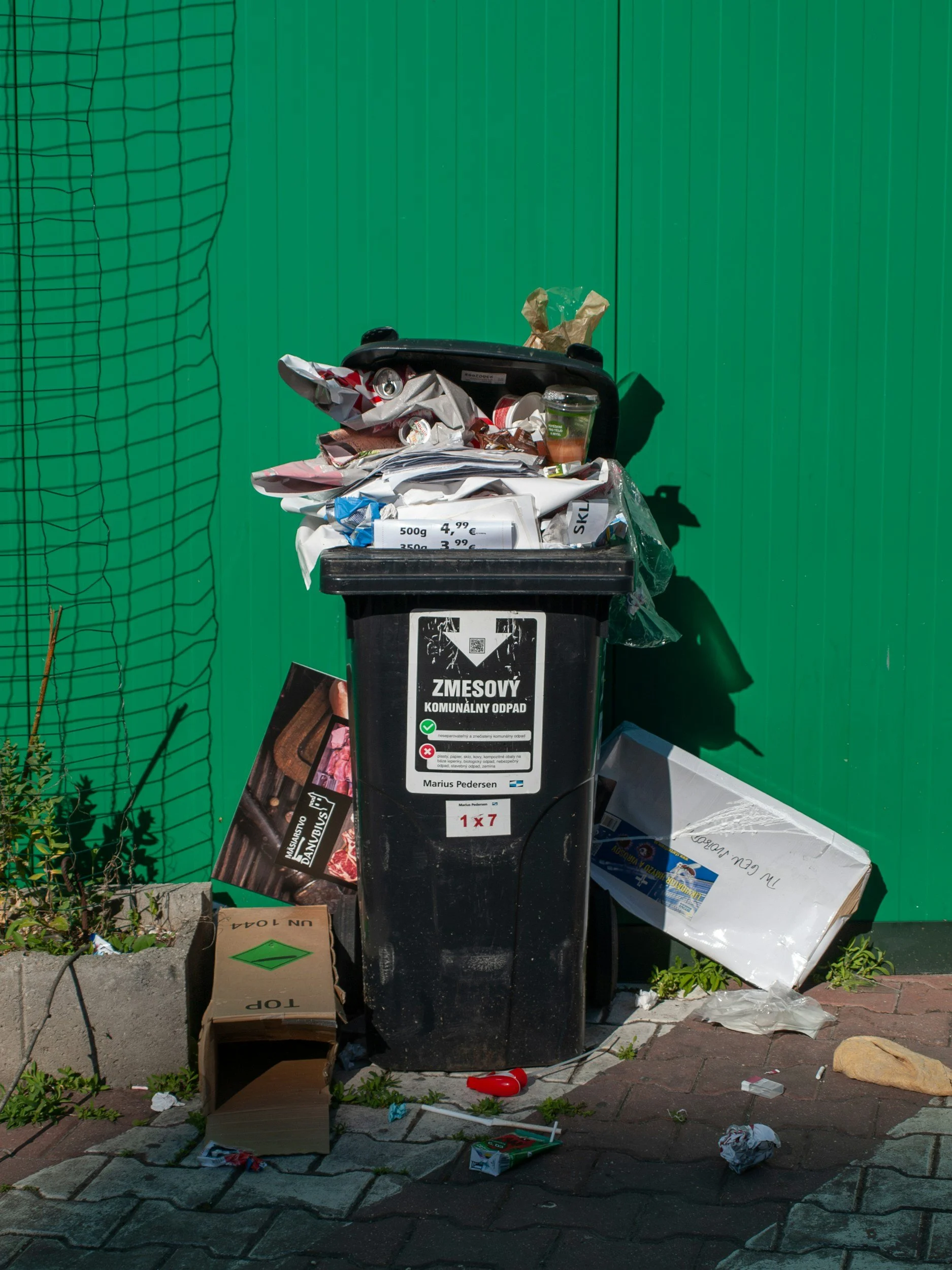 ‘I feel I have more in common with the bin’