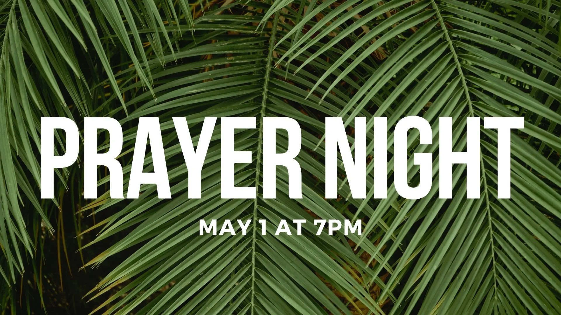 Prayer Night