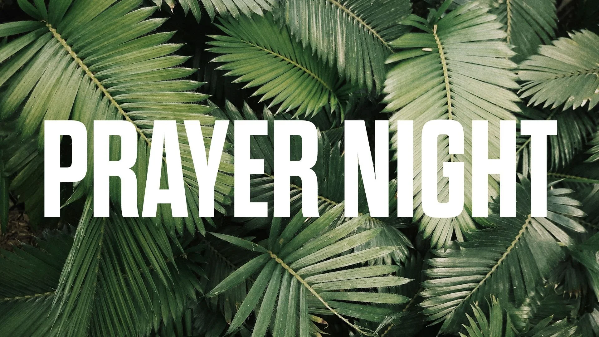 Prayer Night