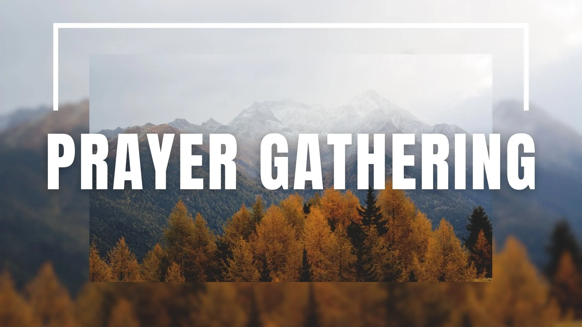 Prayer Gathering