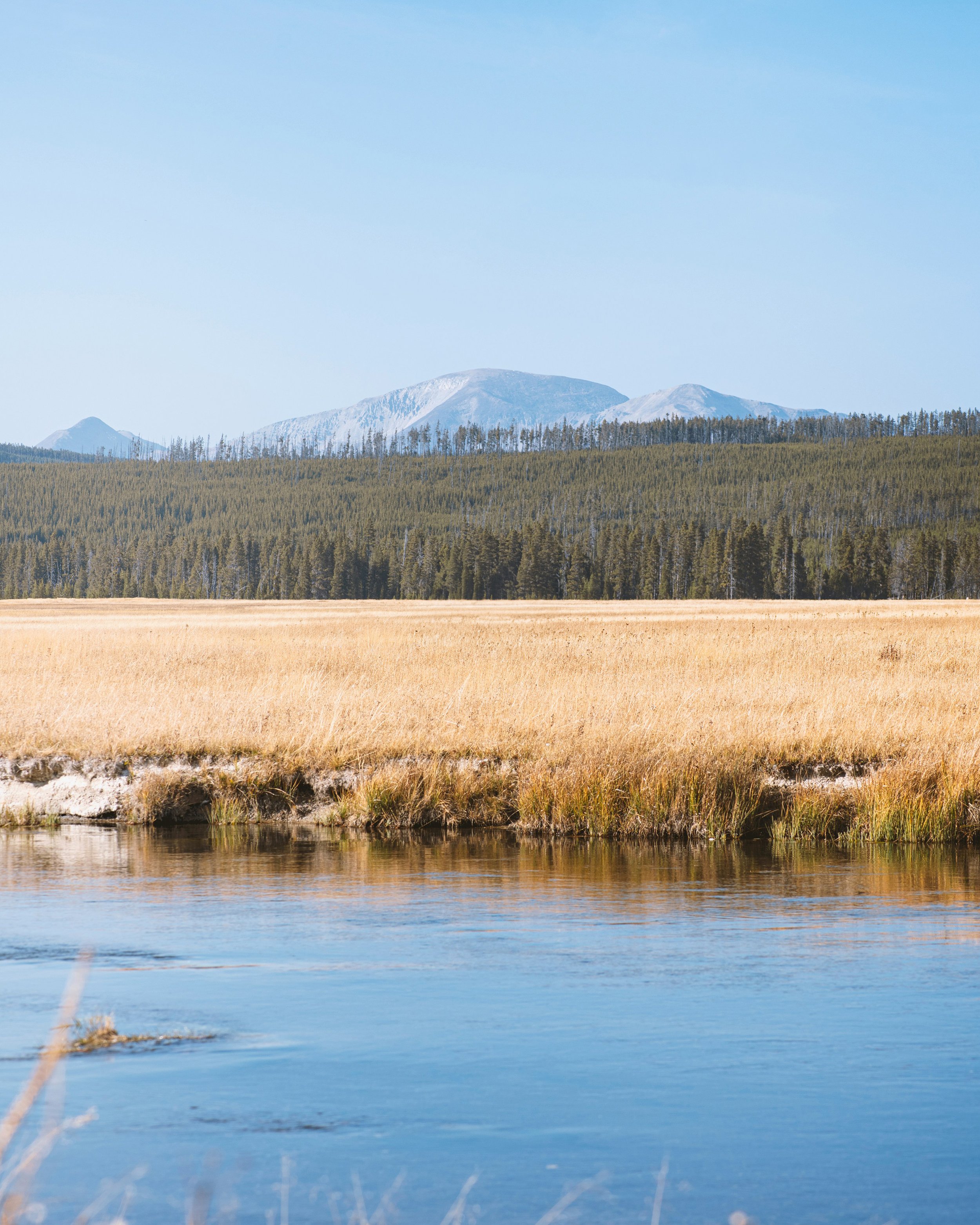 Yellowstone - 1.jpg